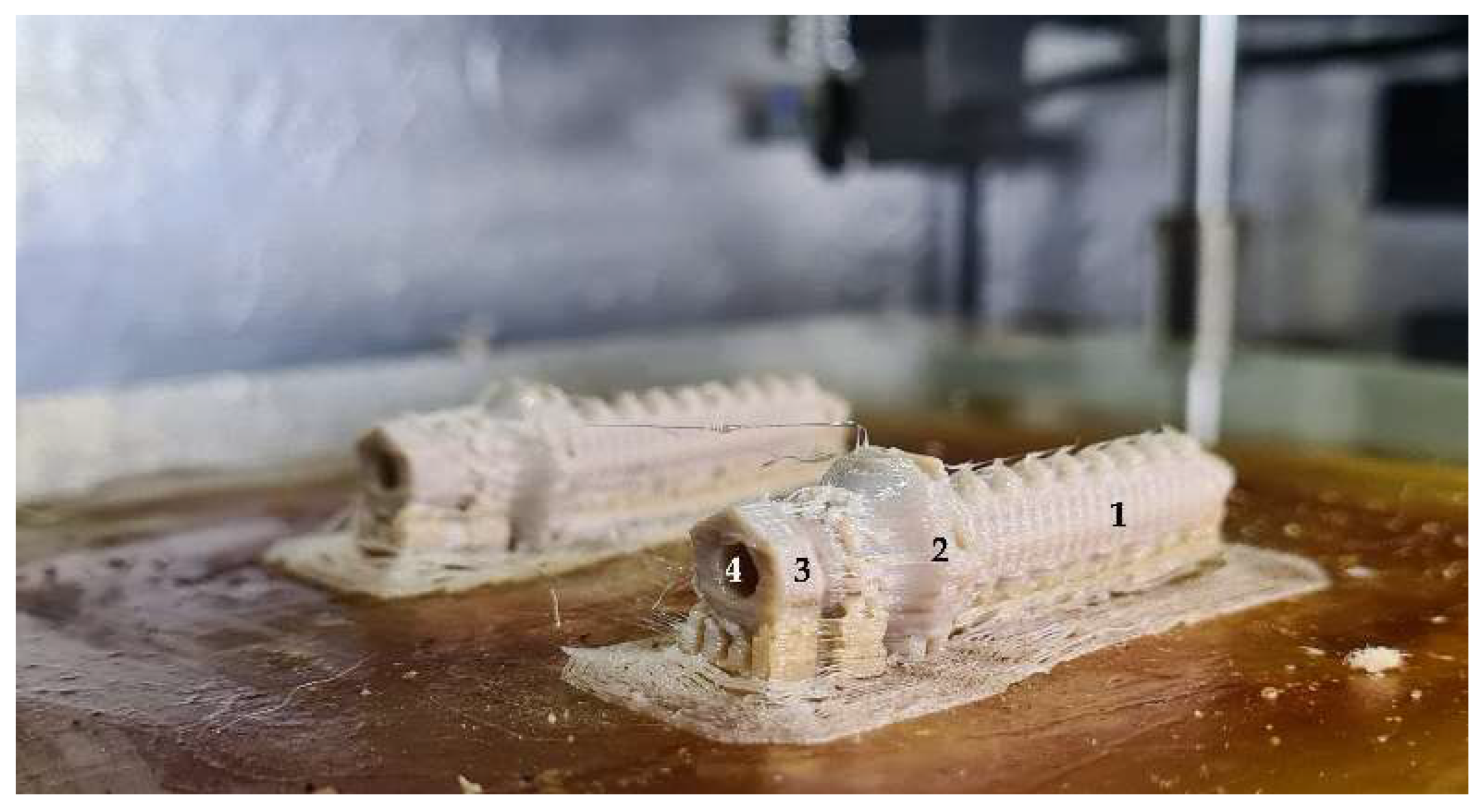 Animals 12 03021 g001