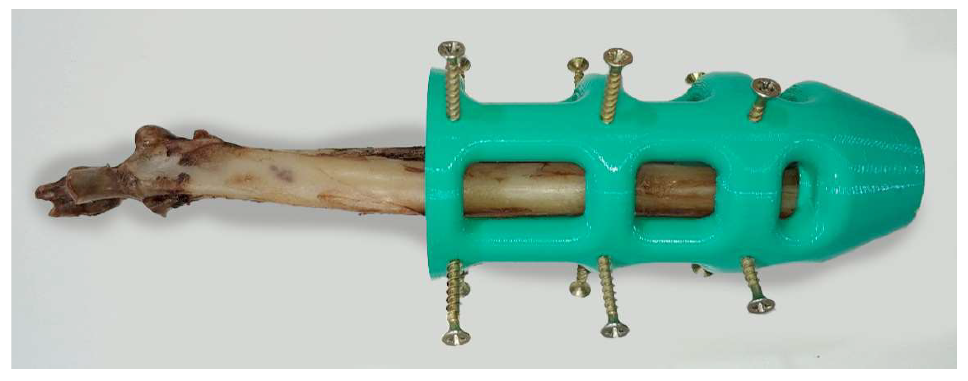 Animals 12 03021 g003