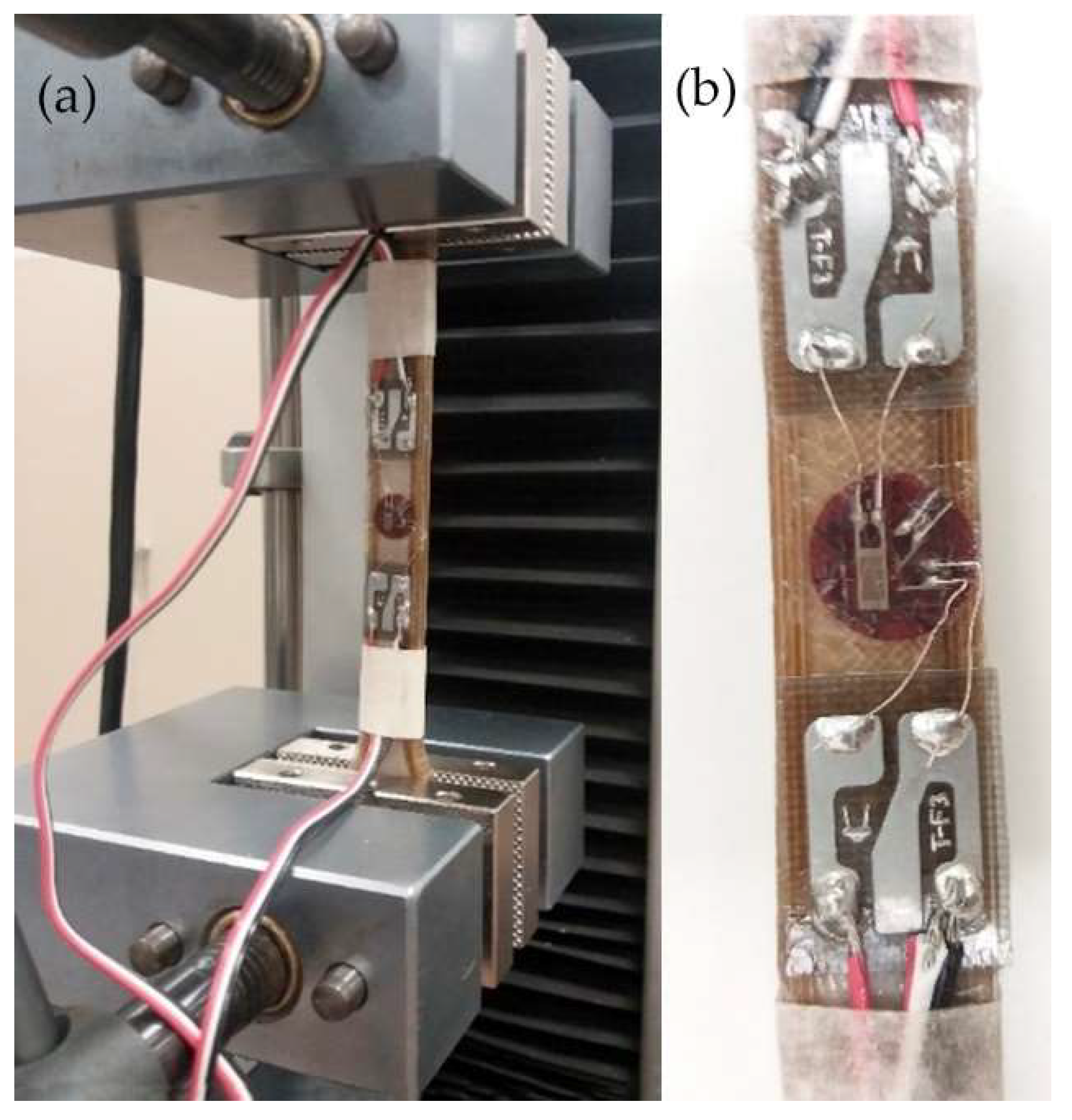 Animals 12 03021 g004