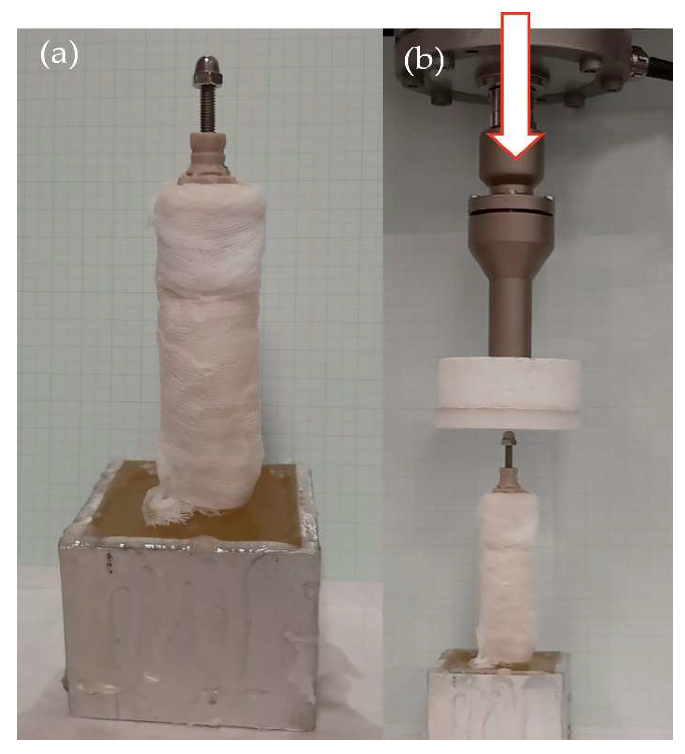 Animals 12 03021 g005