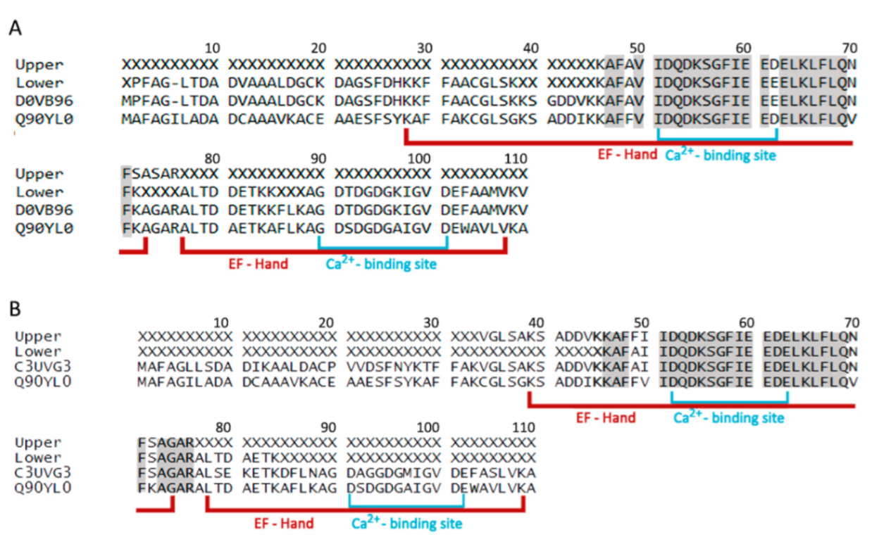 Animals 12 03022 g001