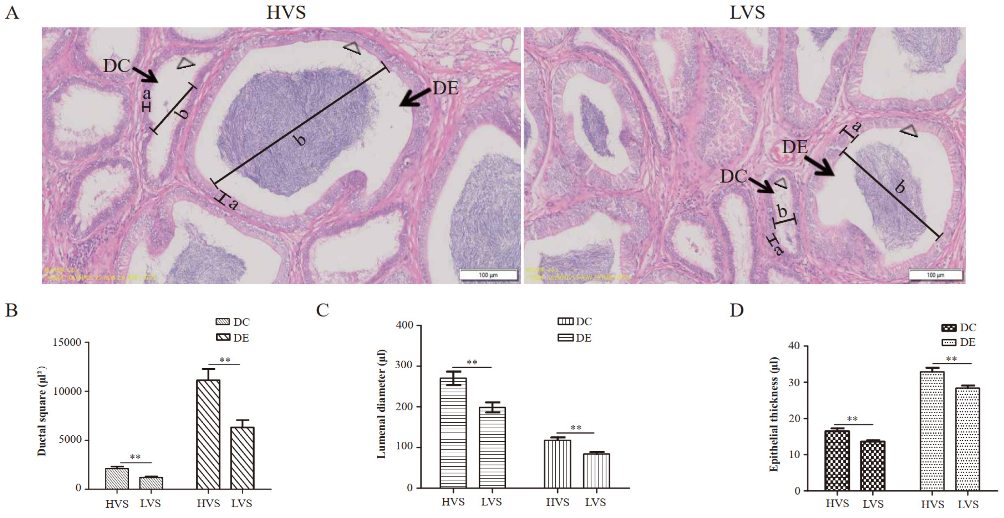 Animals 12 03023 g001 Animals 12 03023 g001