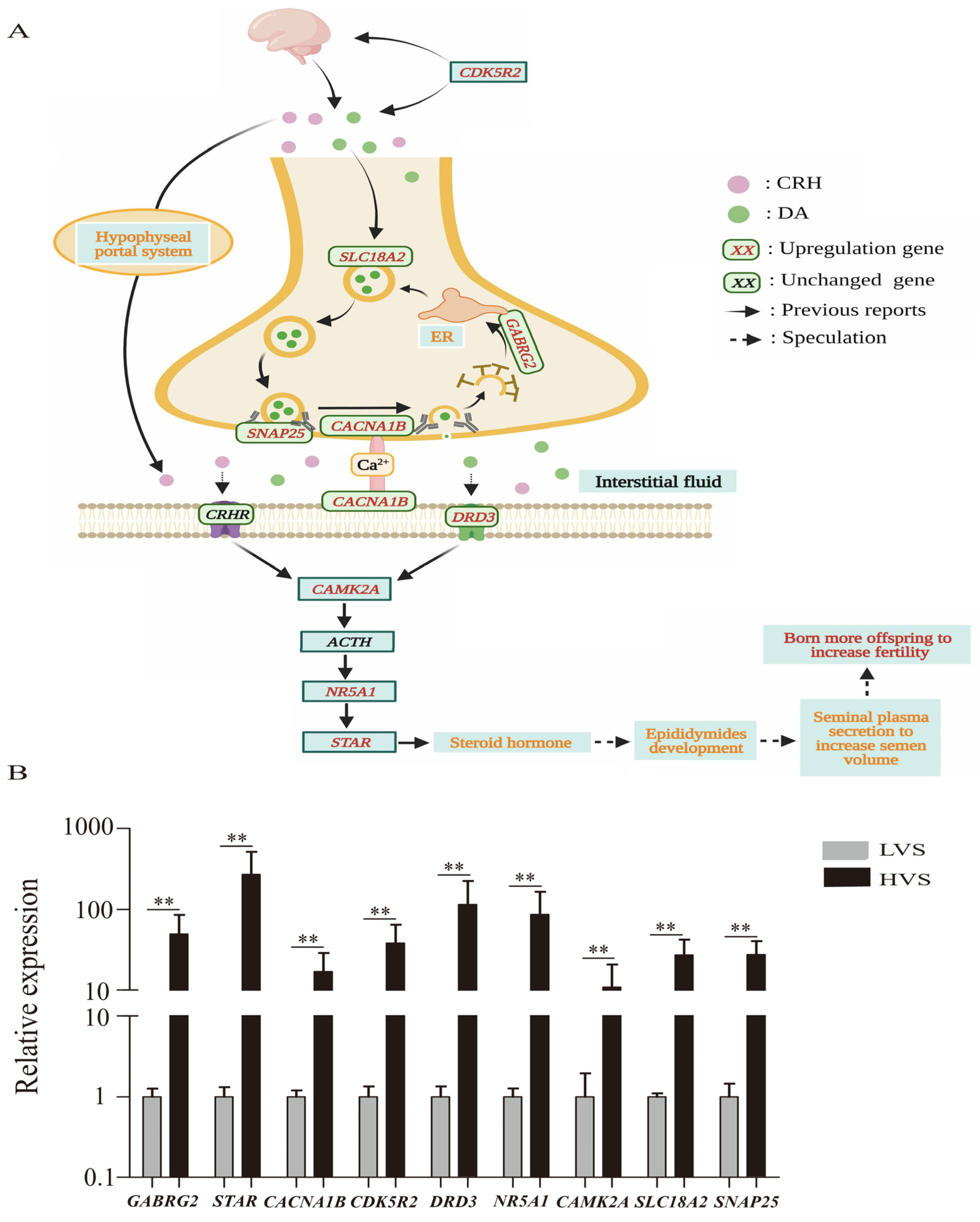 Animals 12 03023 g004 Animals 12 03023 g004
