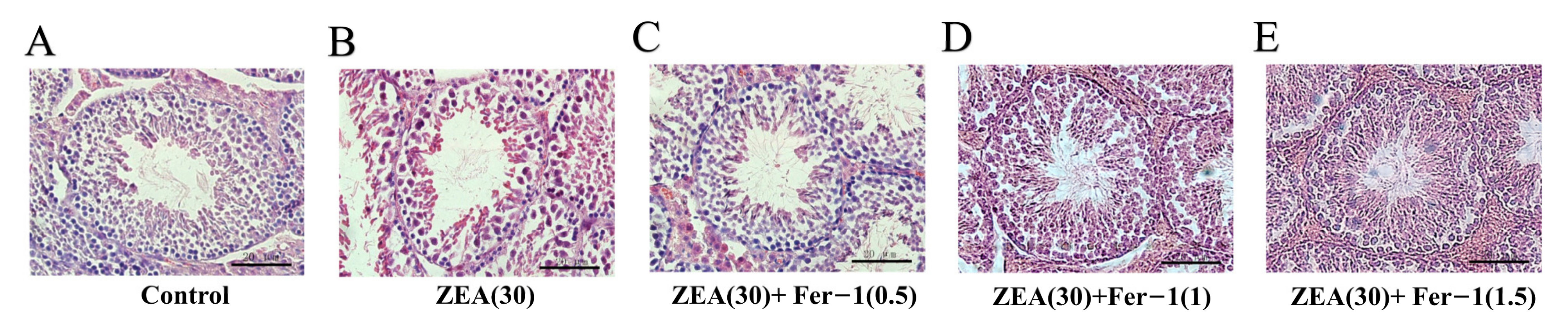 Animals 12 03026 g002