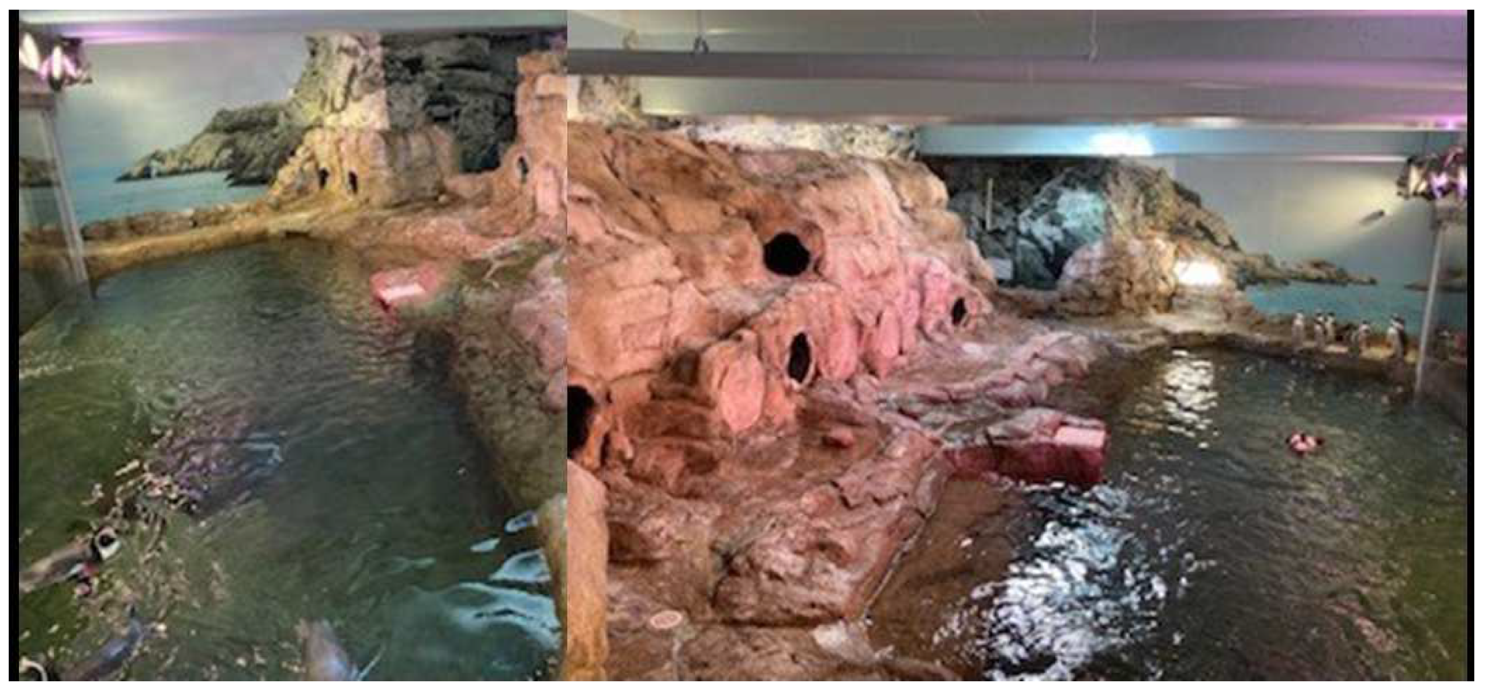 Animals 12 03031 g001