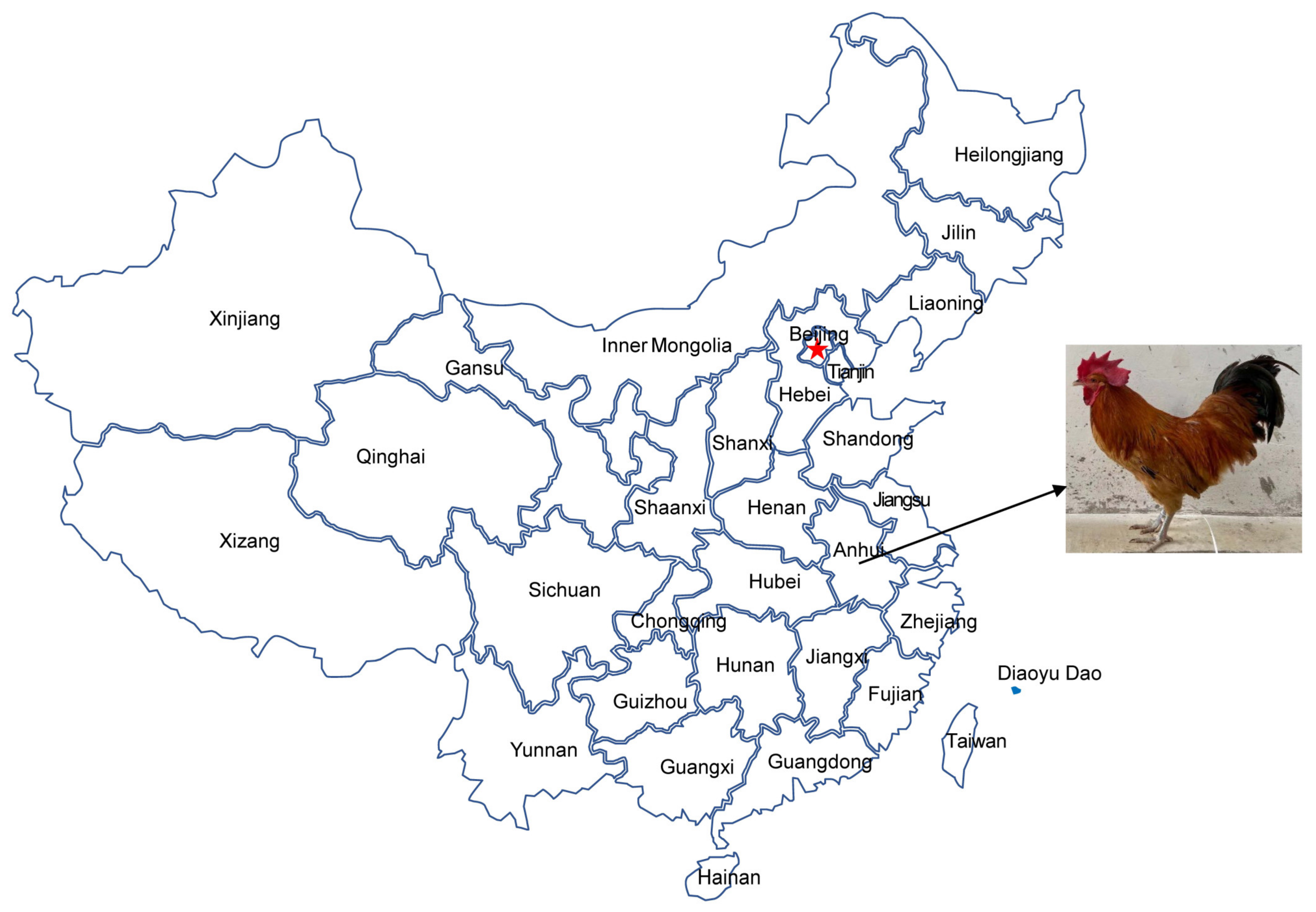 Animals 12 03037 g001