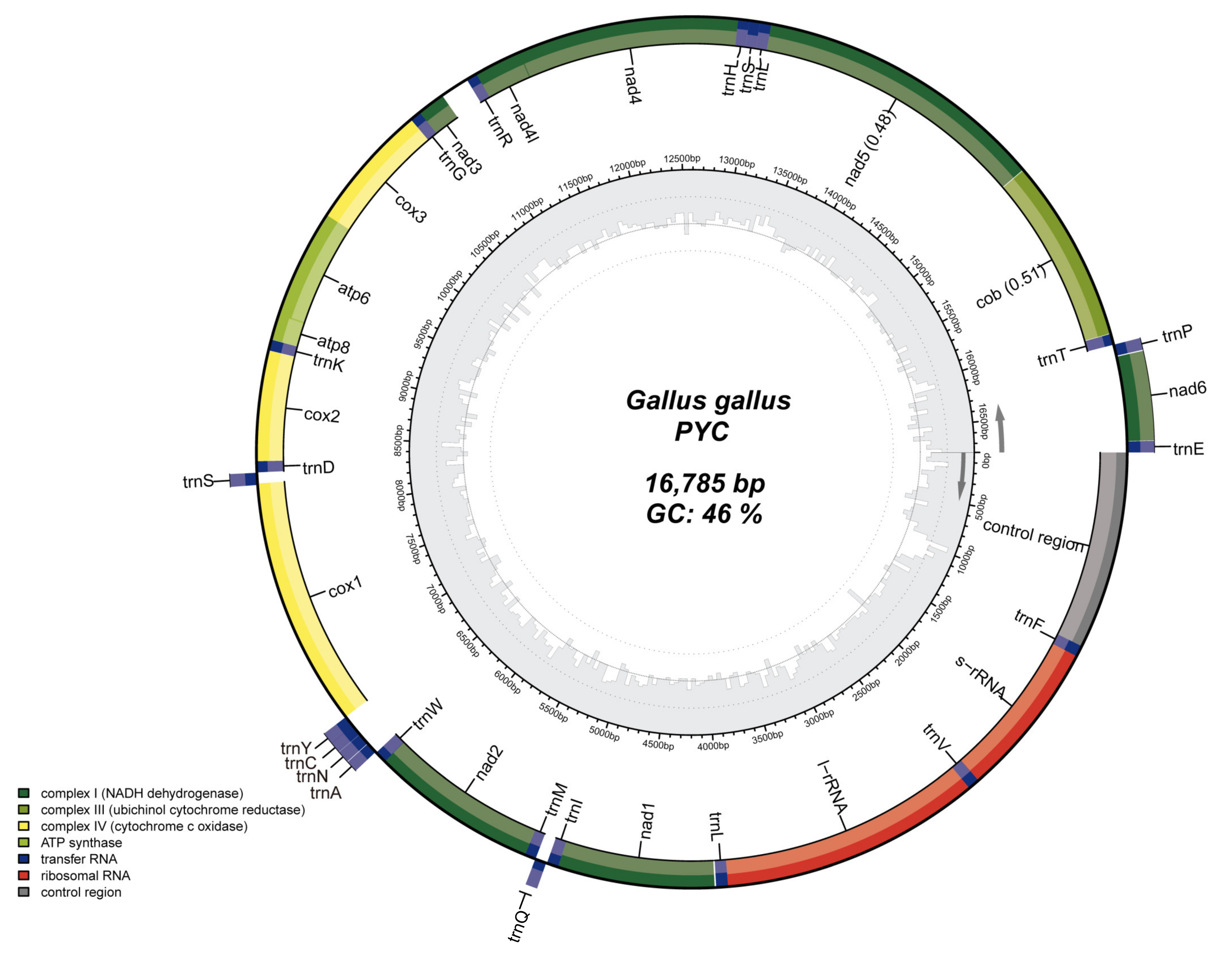 Animals 12 03037 g002