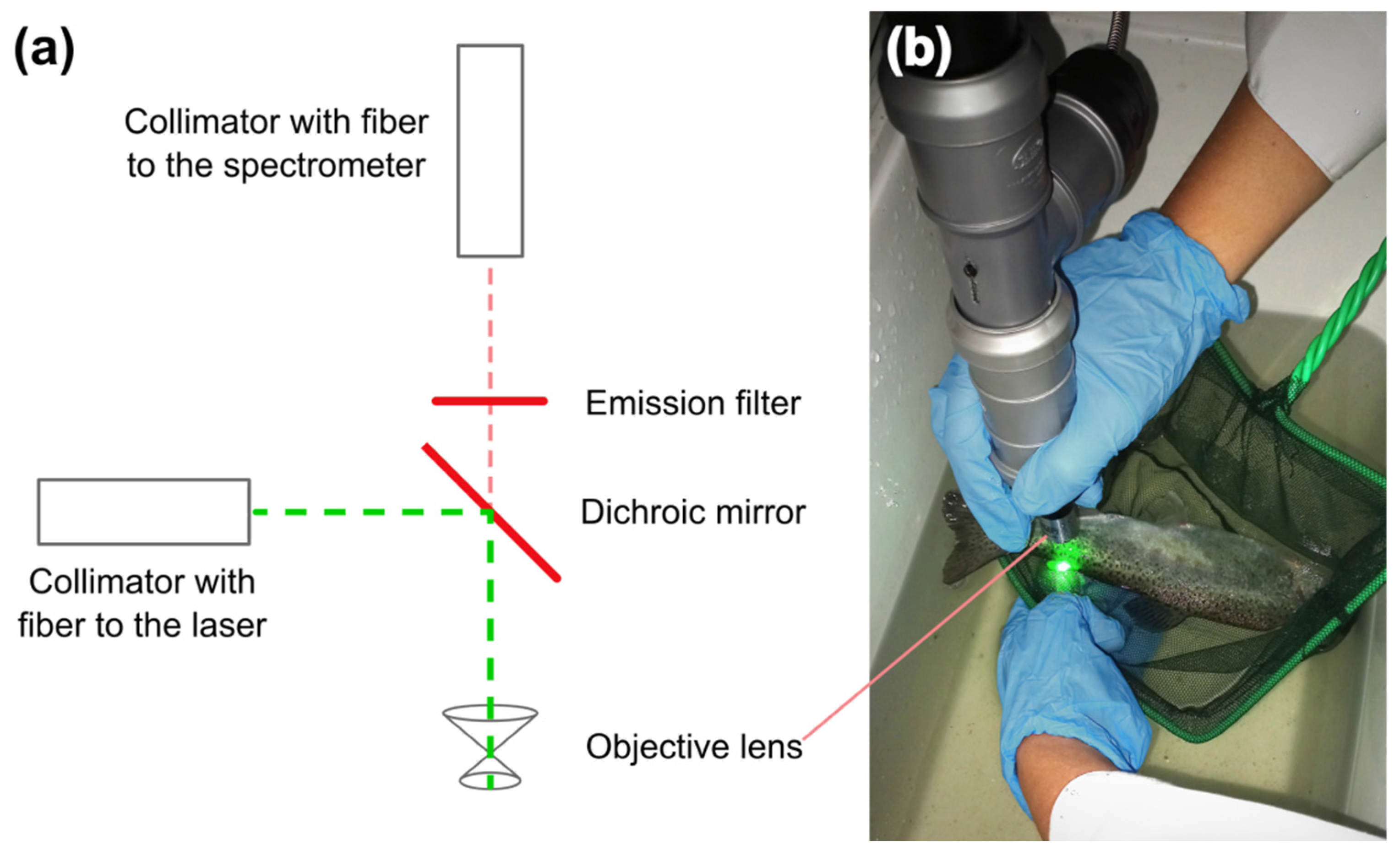 Animals 12 03042 g001