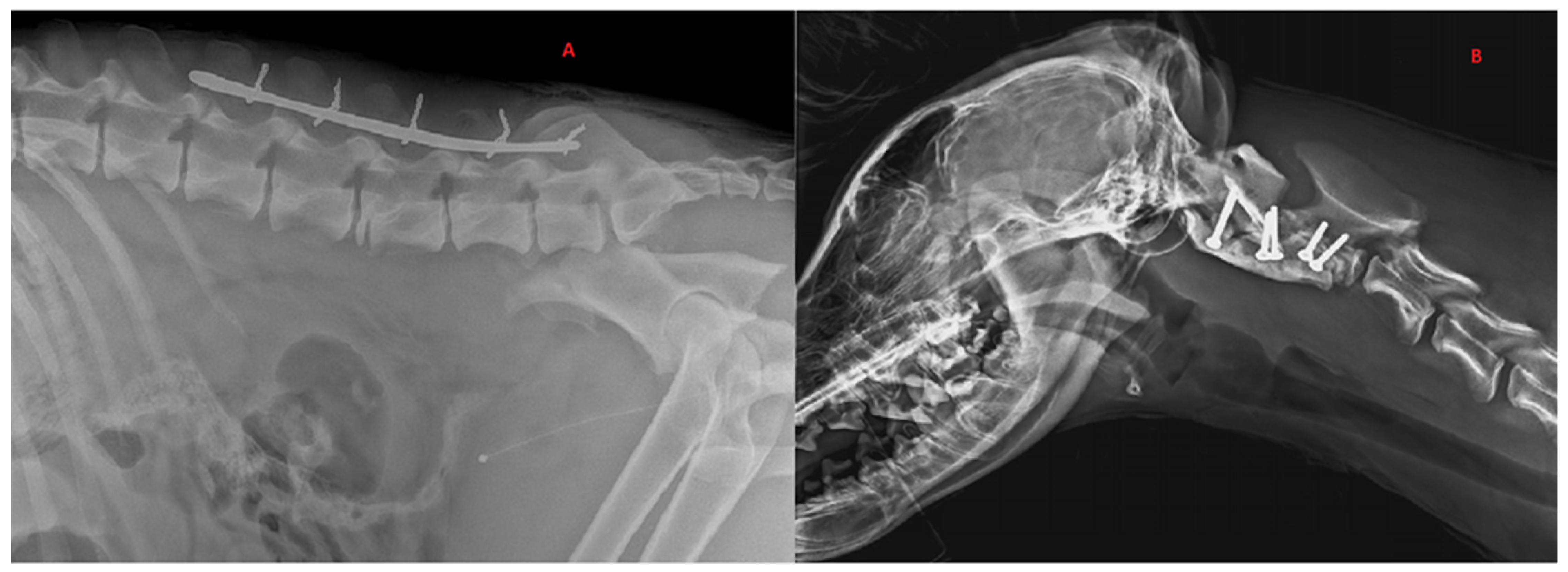 Animals 12 03044 g003