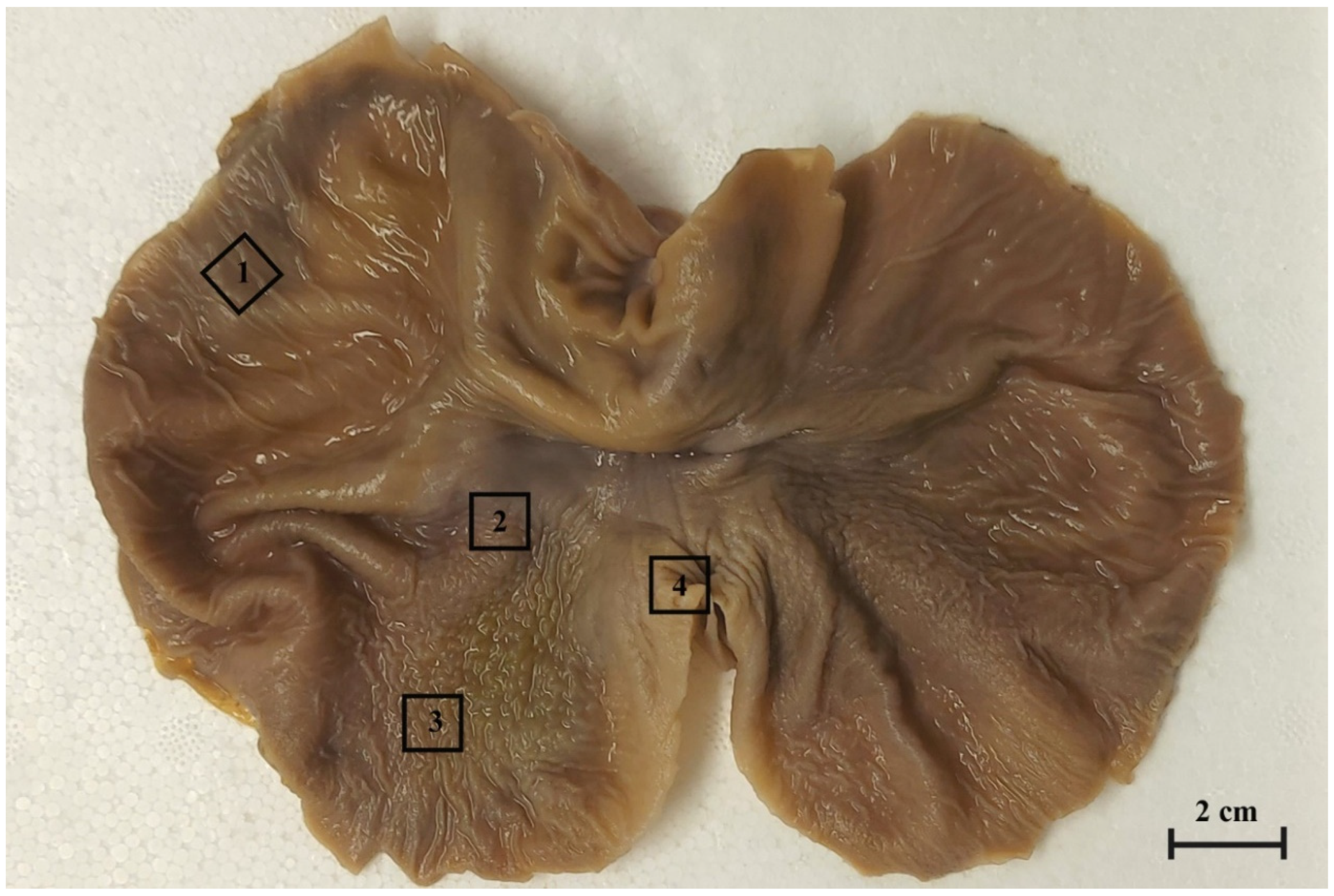 Animals 12 03047 g001