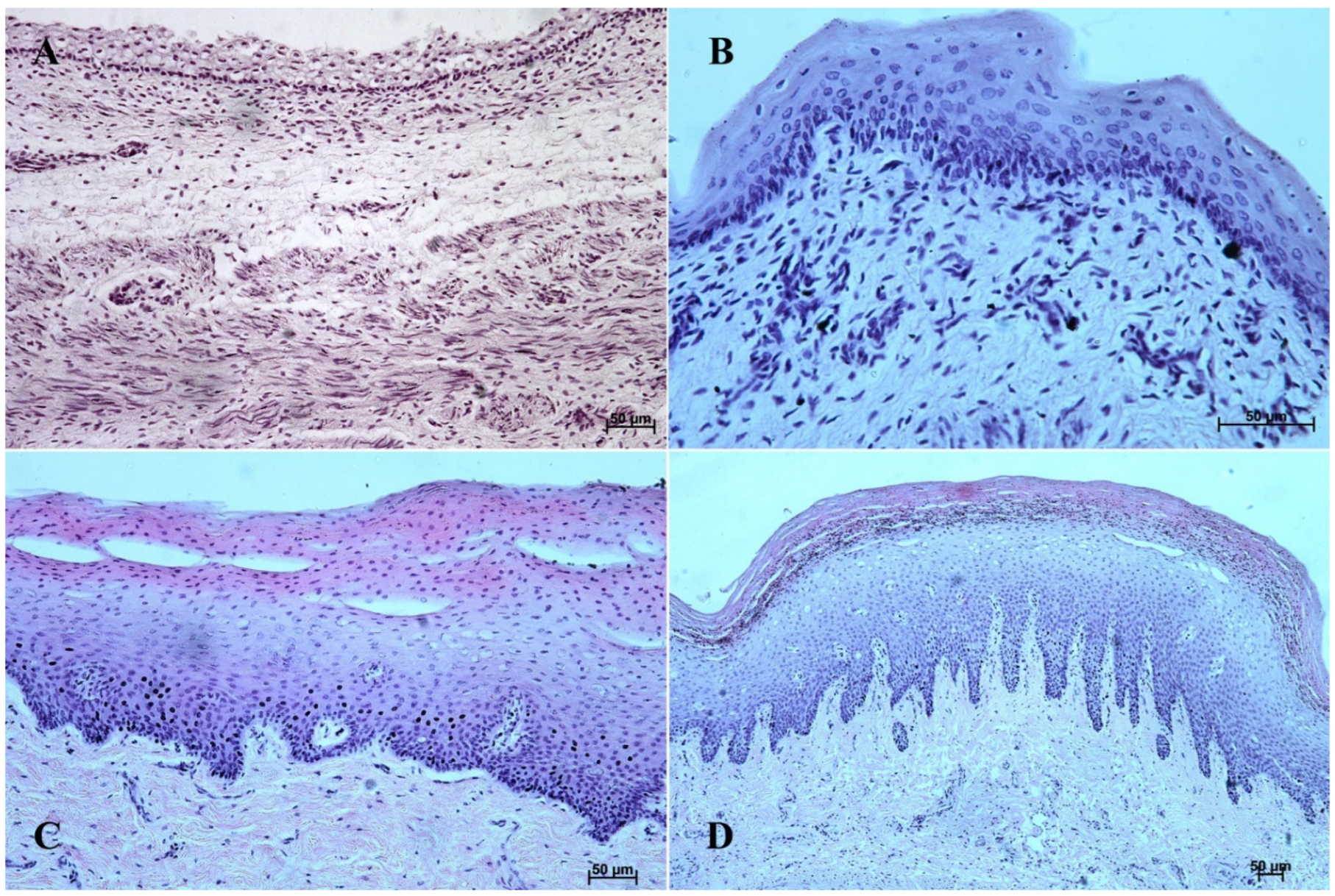 Animals 12 03047 g002