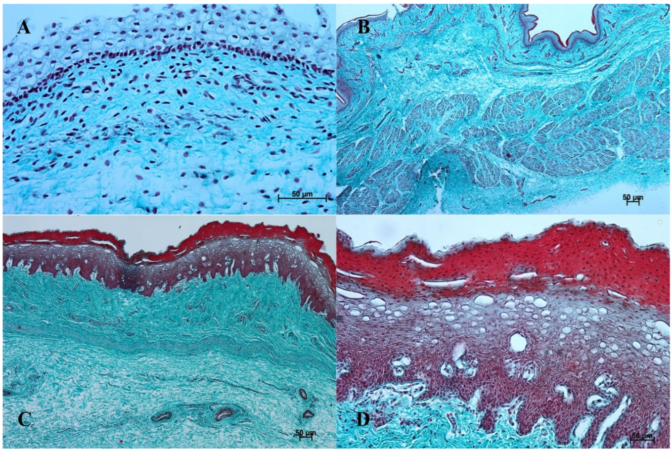 Animals 12 03047 g003