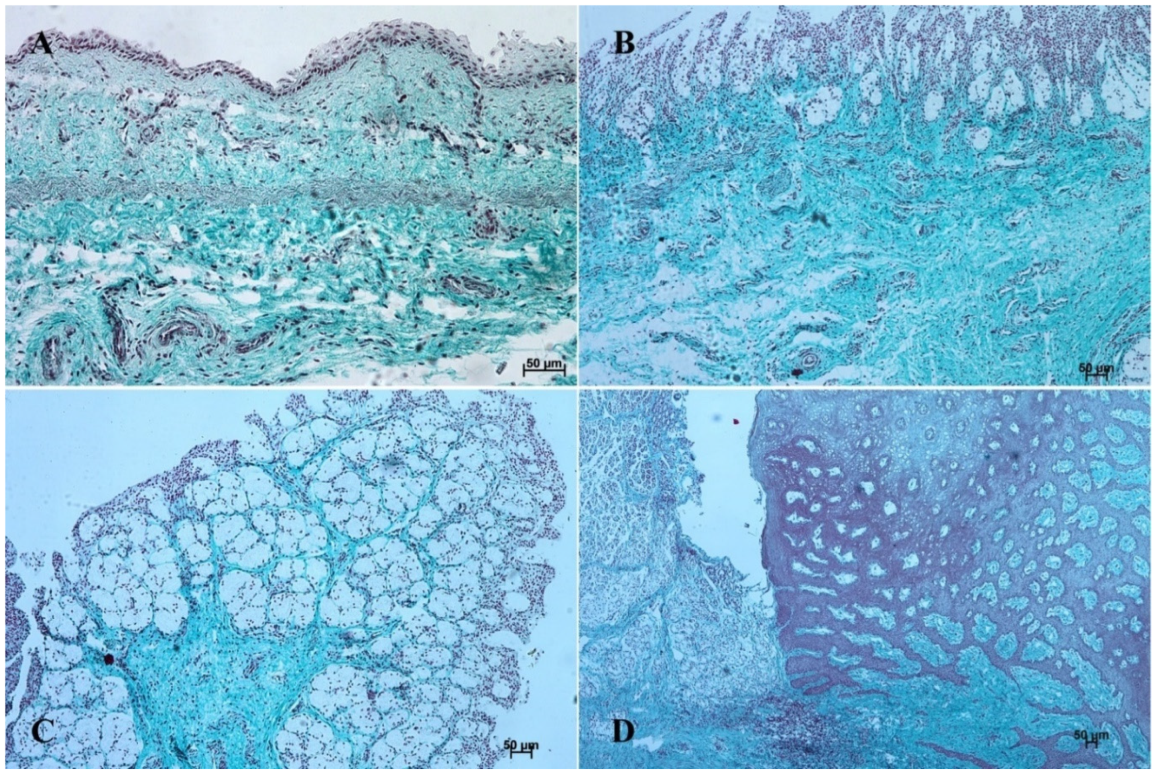 Animals 12 03047 g005