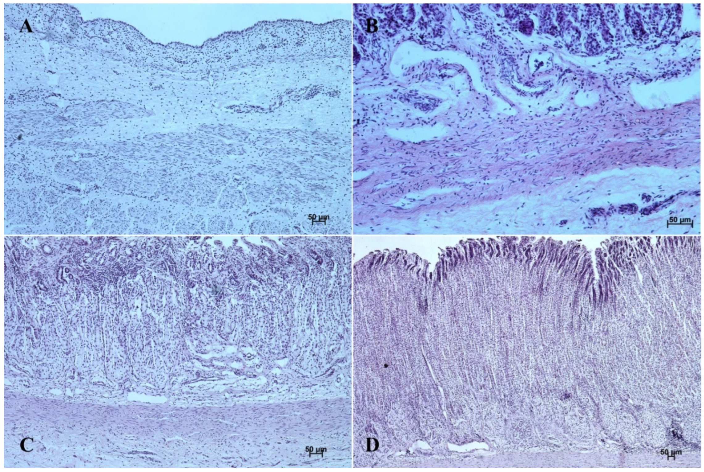 Animals 12 03047 g008