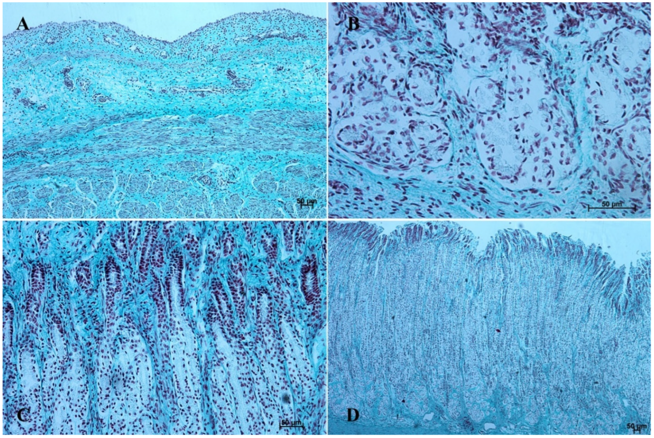 Animals 12 03047 g009