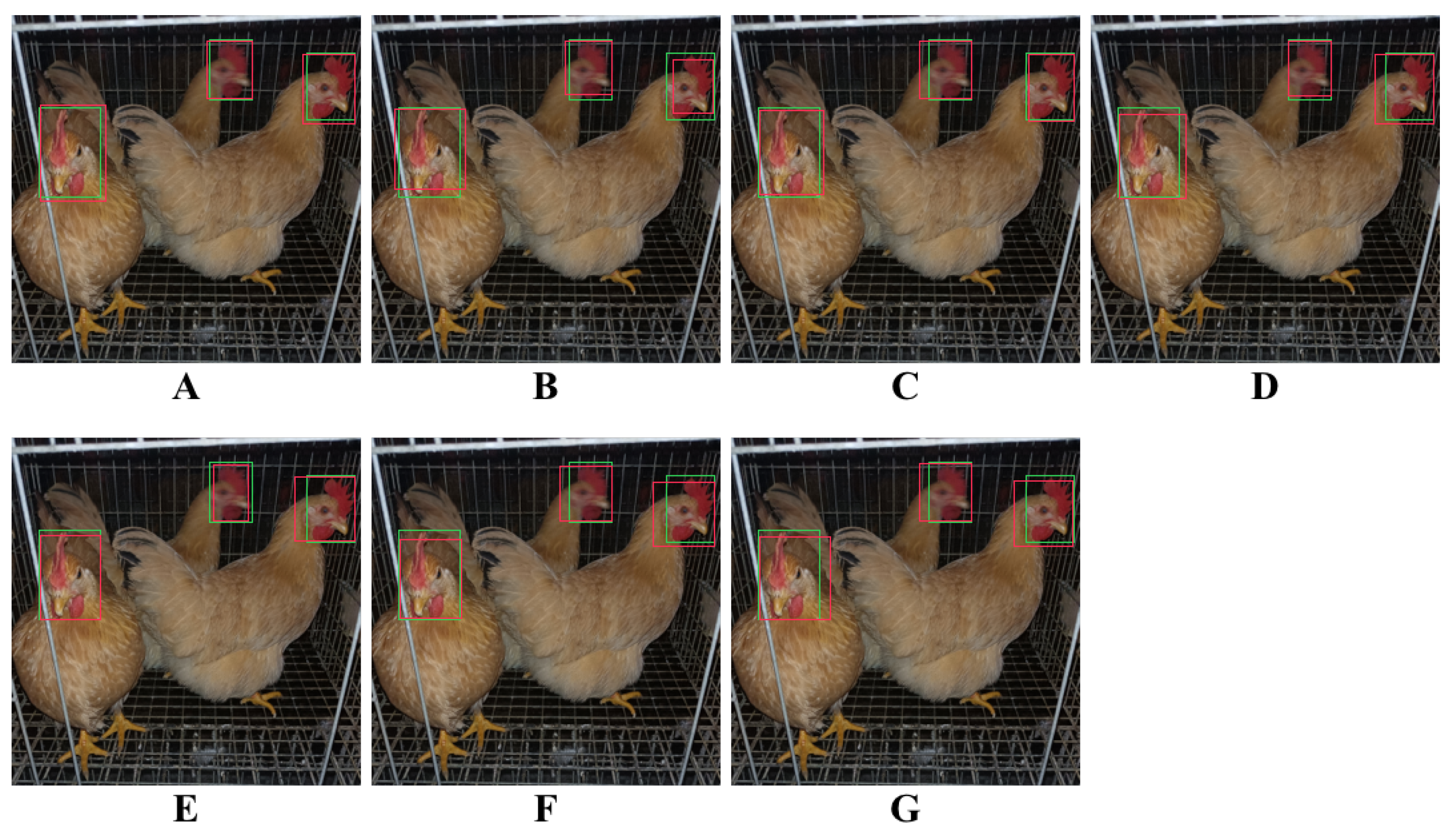 Animals 12 03055 g010 Animals 12 03055 g010