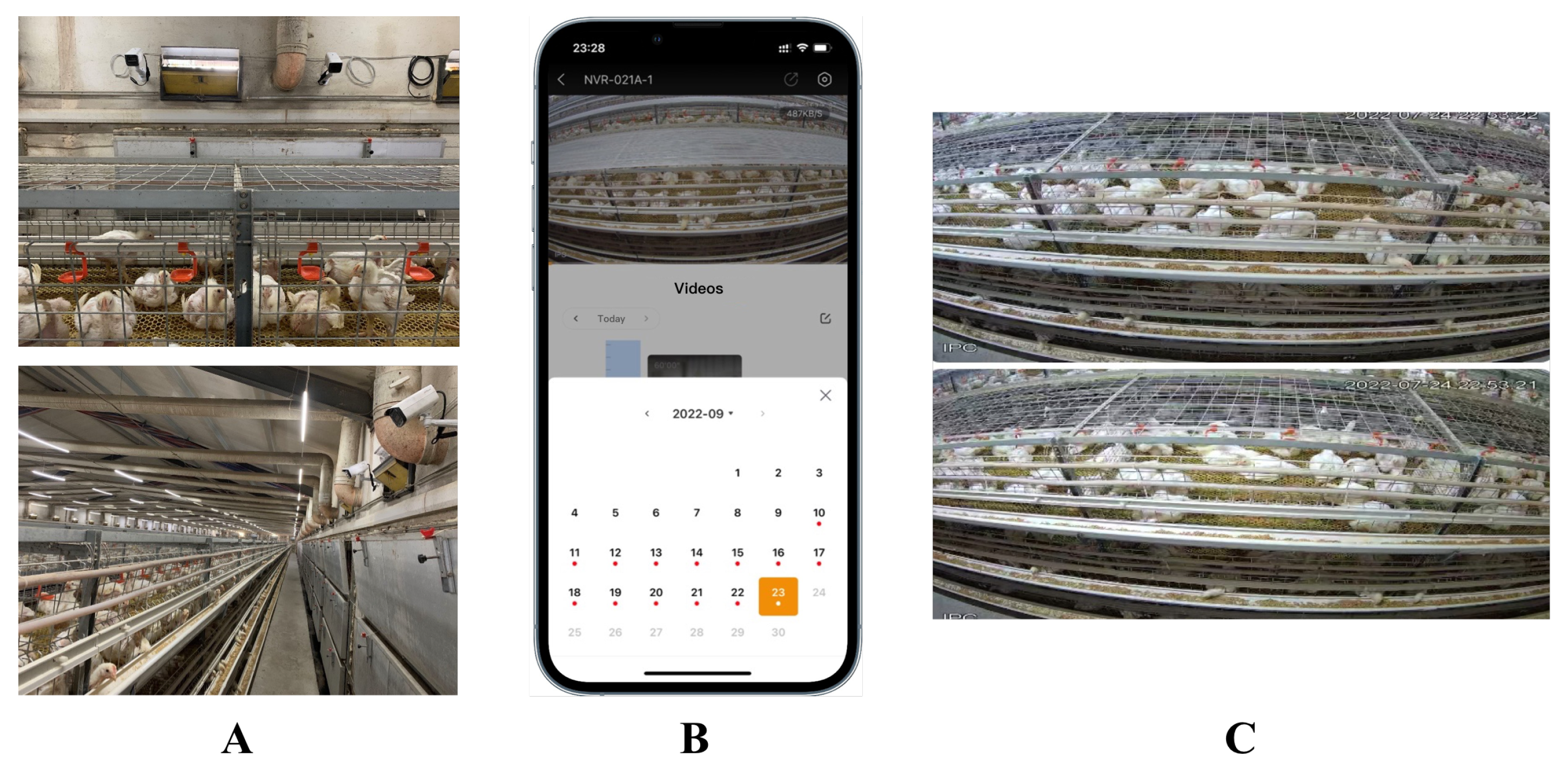 Animals 12 03055 g012 Animals 12 03055 g012