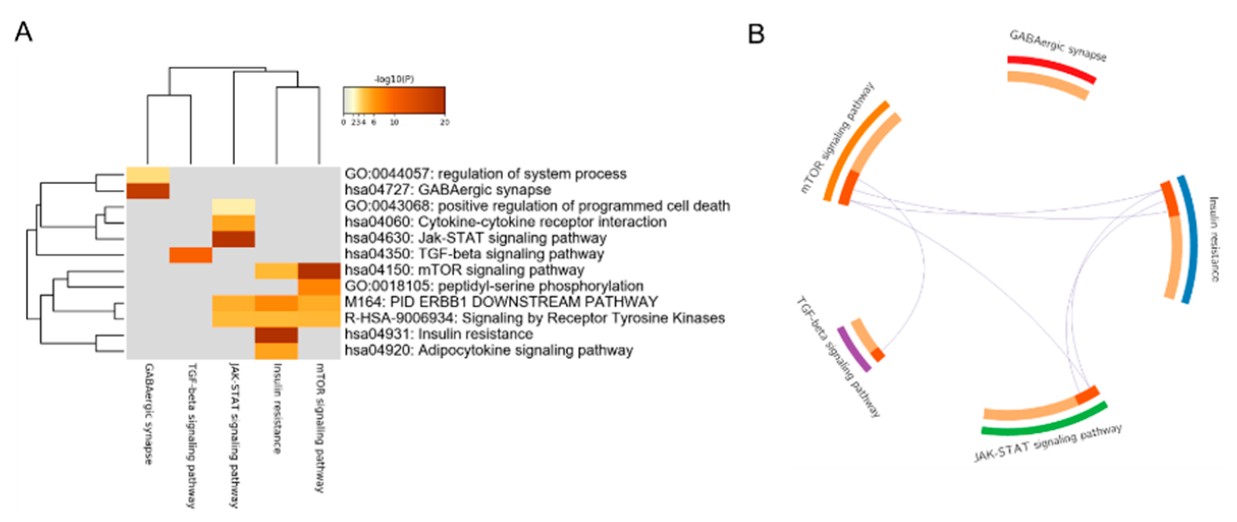 Animals 12 03058 g002