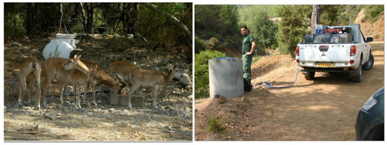 Animals 12 03060 g0a1a