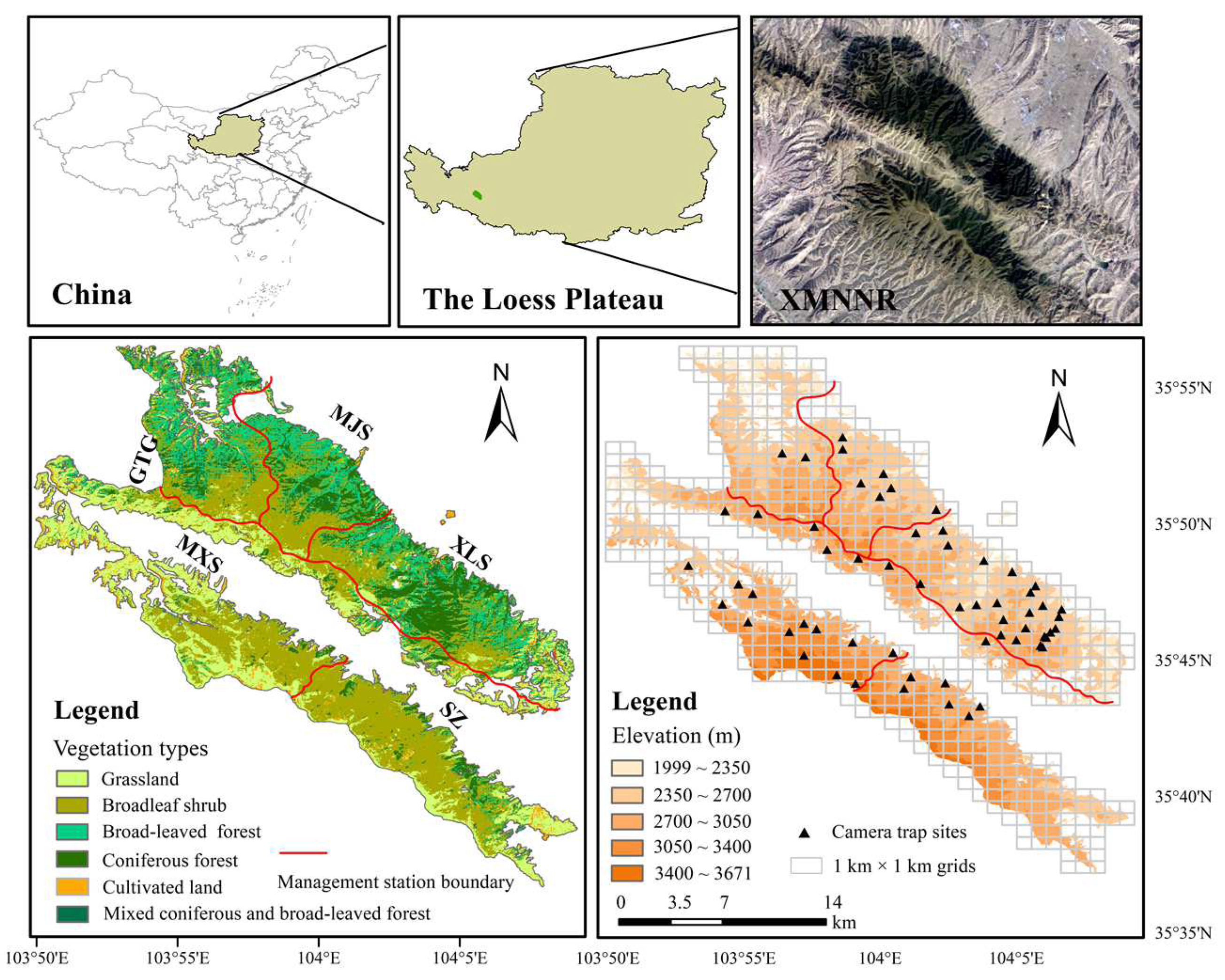 Animals 12 03061 g001