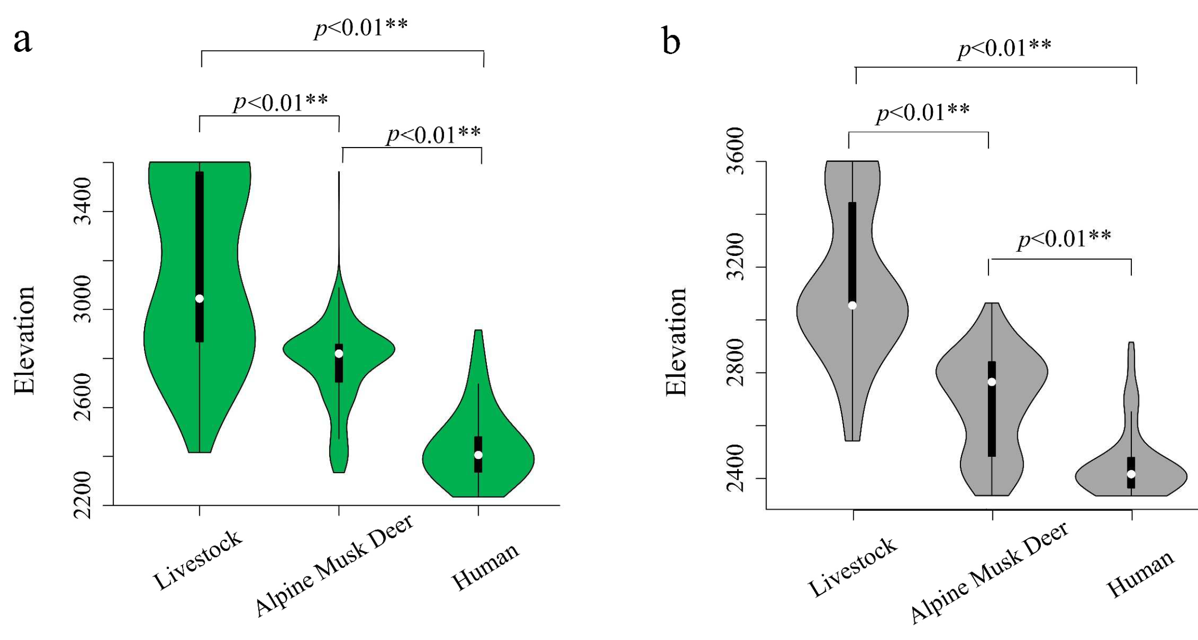 Animals 12 03061 g003