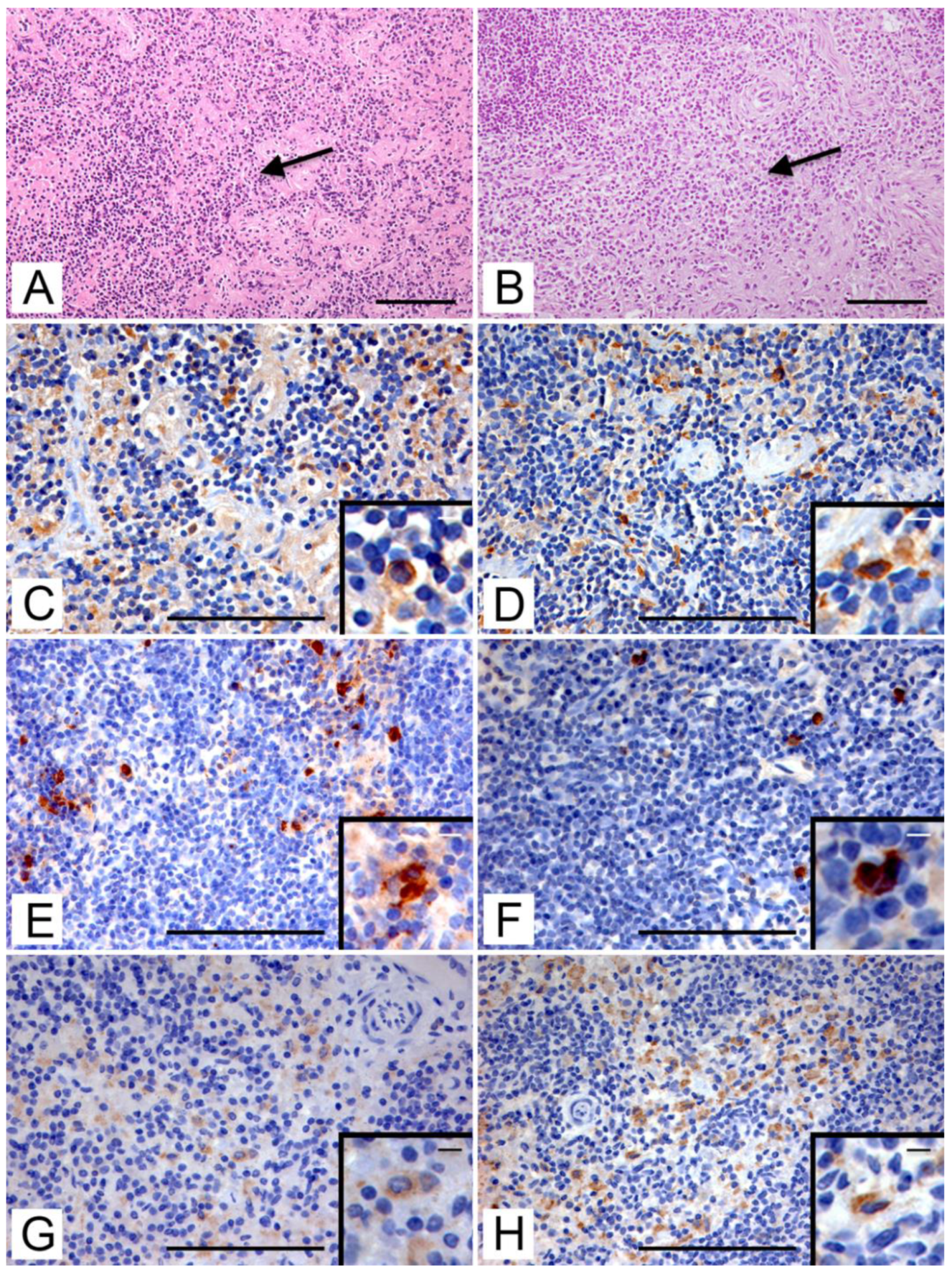 Animals 12 03064 g003 Animals 12 03064 g003