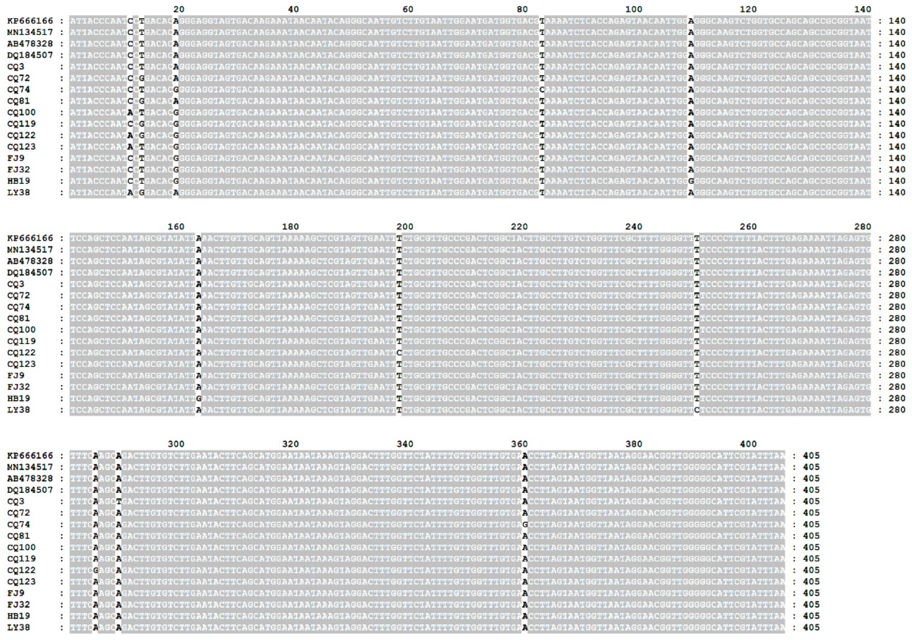 Animals 12 03066 g002