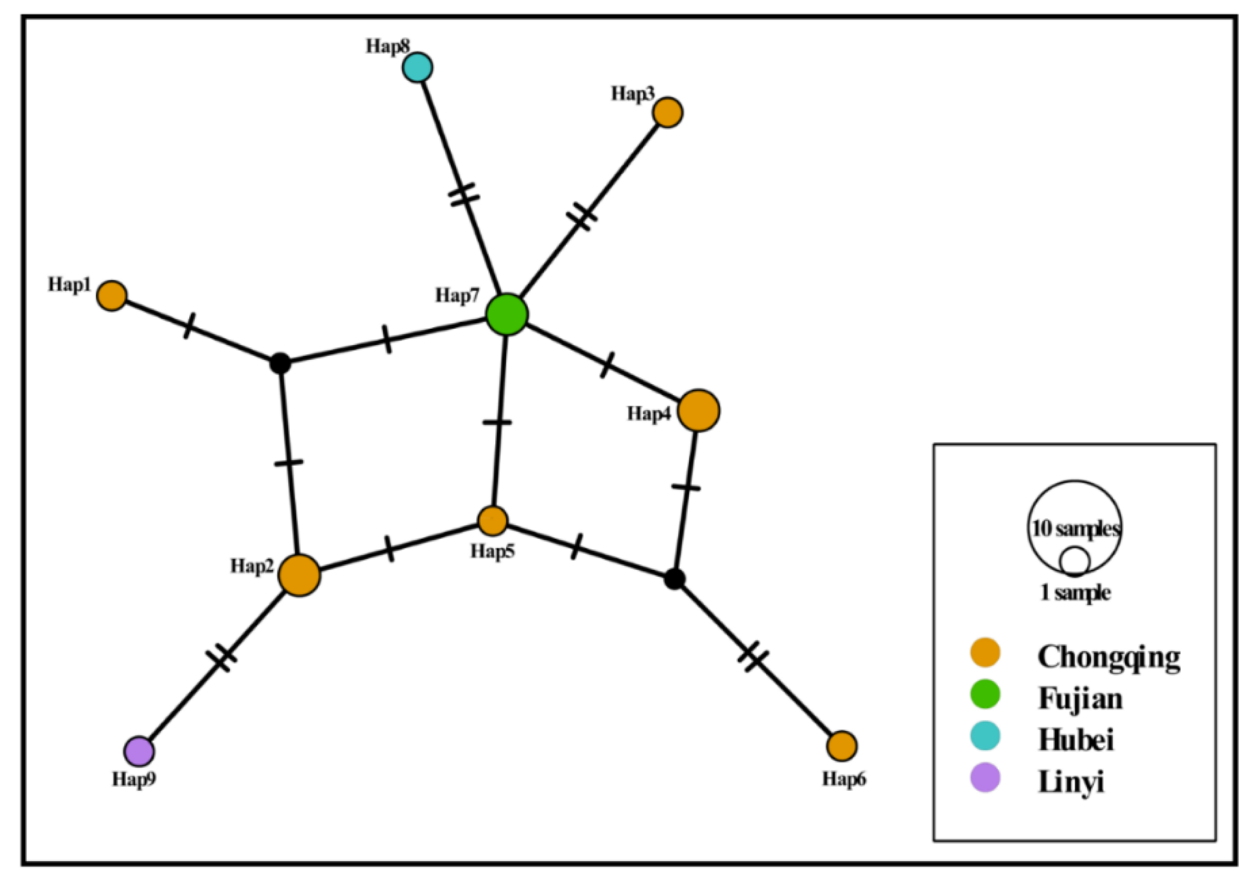 Animals 12 03066 g003