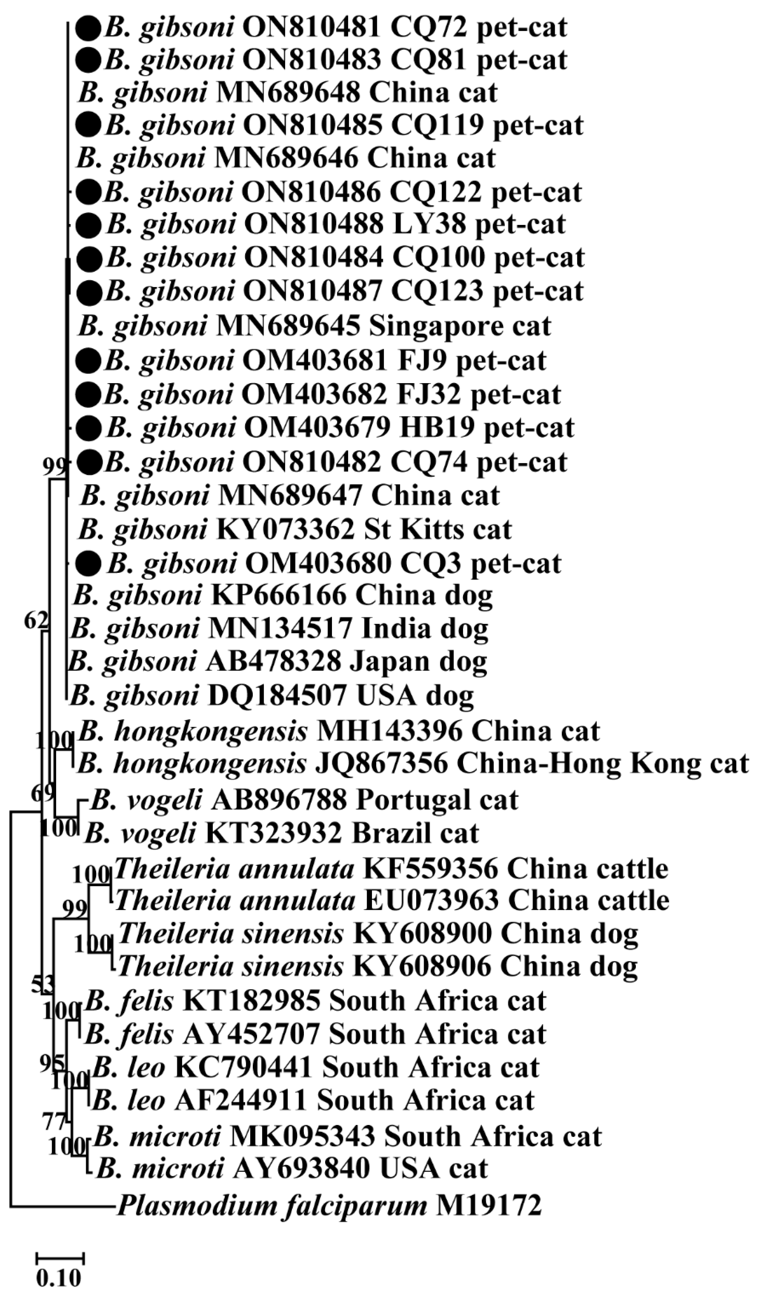 Animals 12 03066 g004
