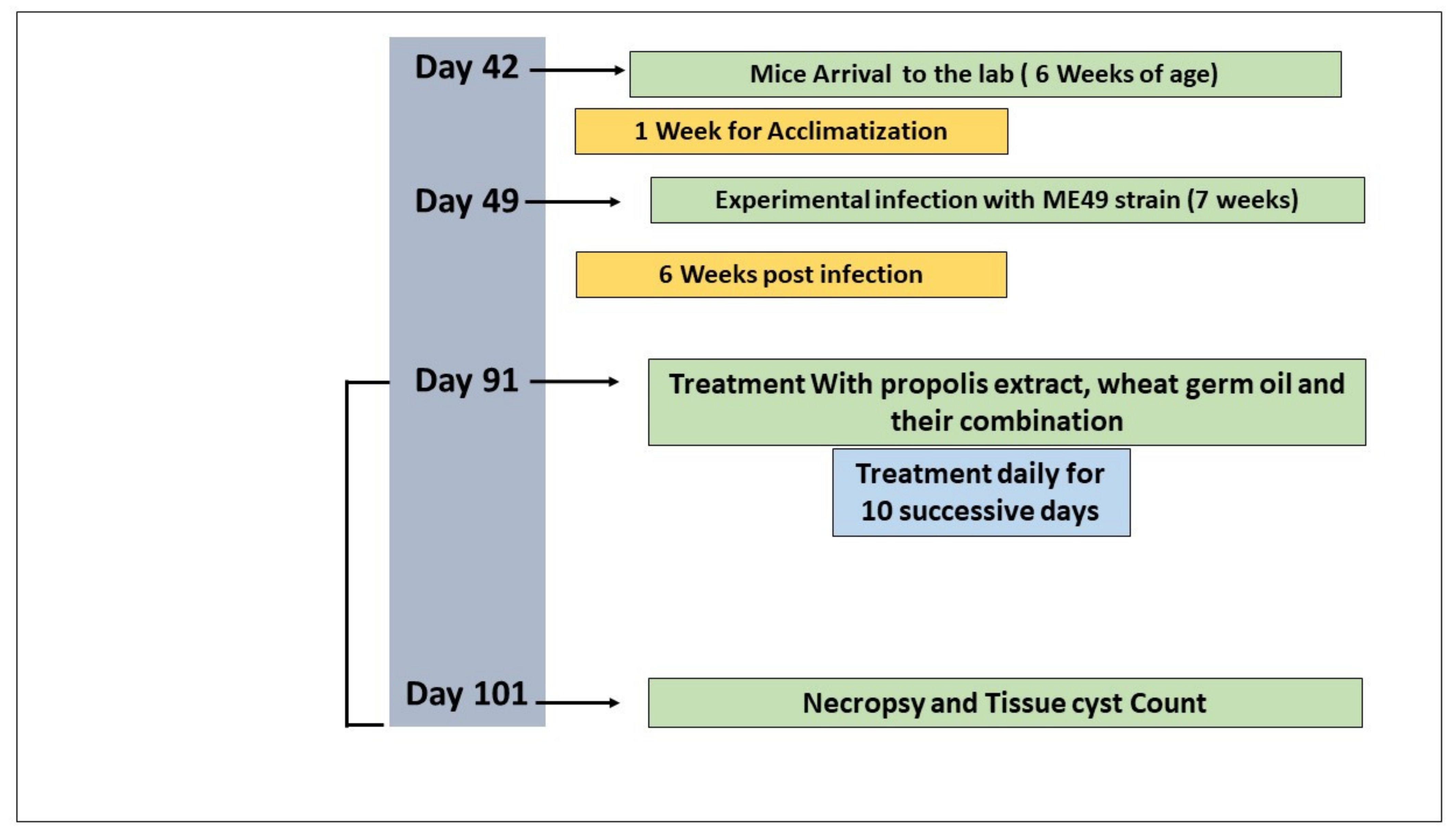 Animals 12 03069 g001 Animals 12 03069 g001