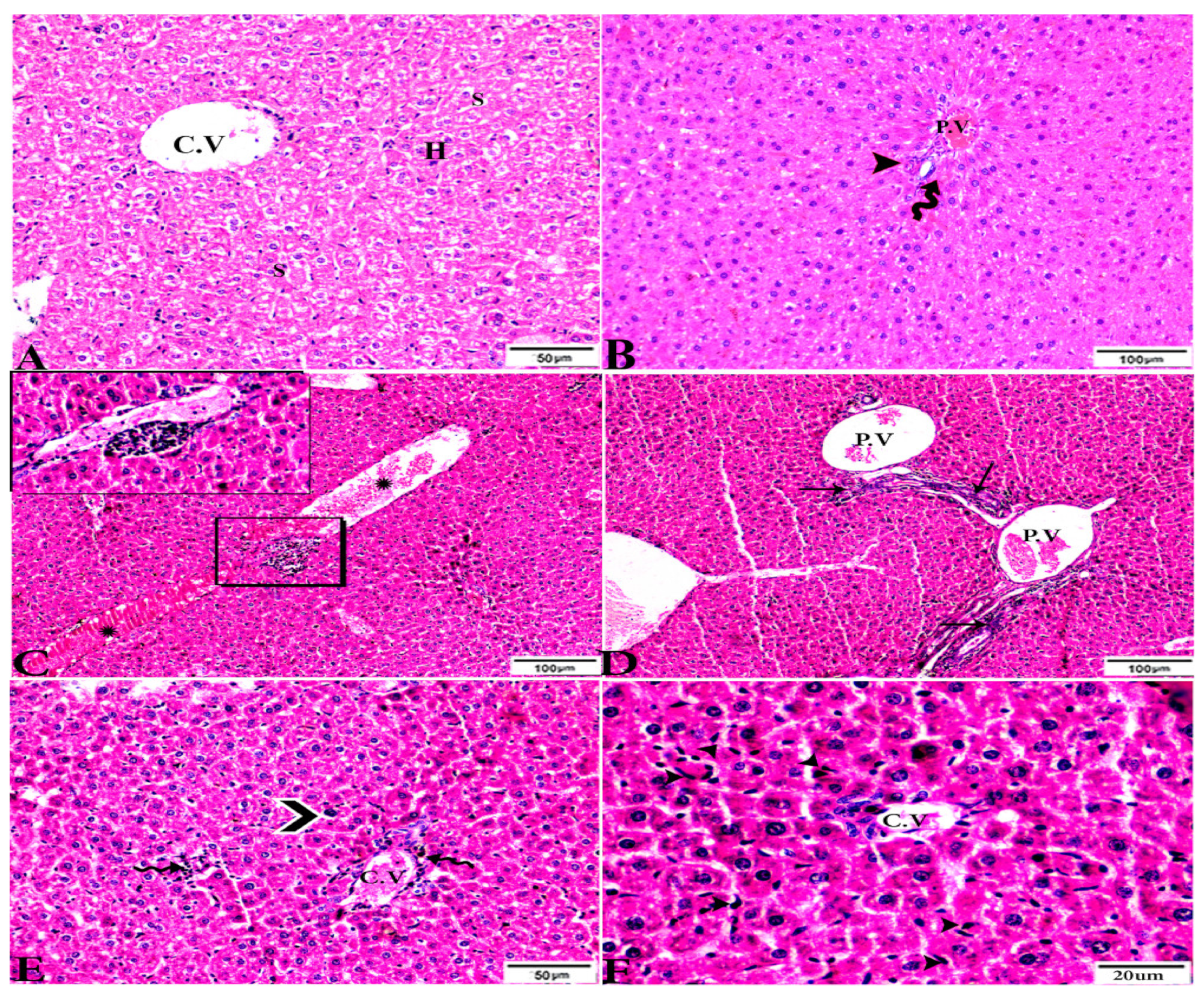 Animals 12 03069 g003 Animals 12 03069 g003