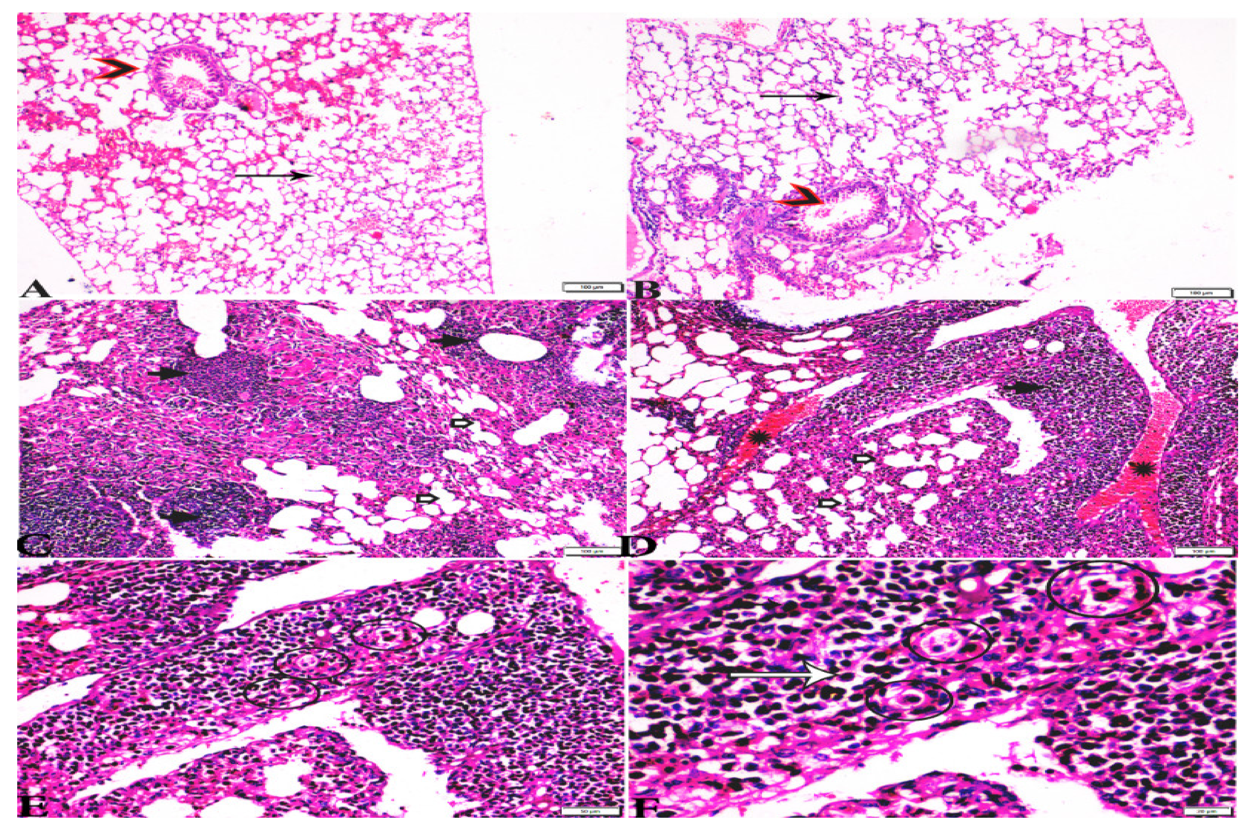 Animals 12 03069 g007 Animals 12 03069 g007