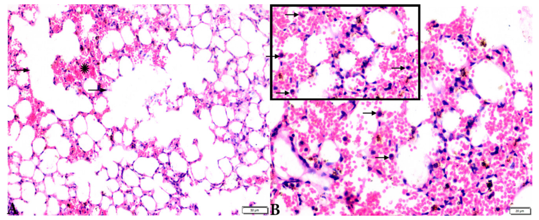 Animals 12 03069 g008 Animals 12 03069 g008