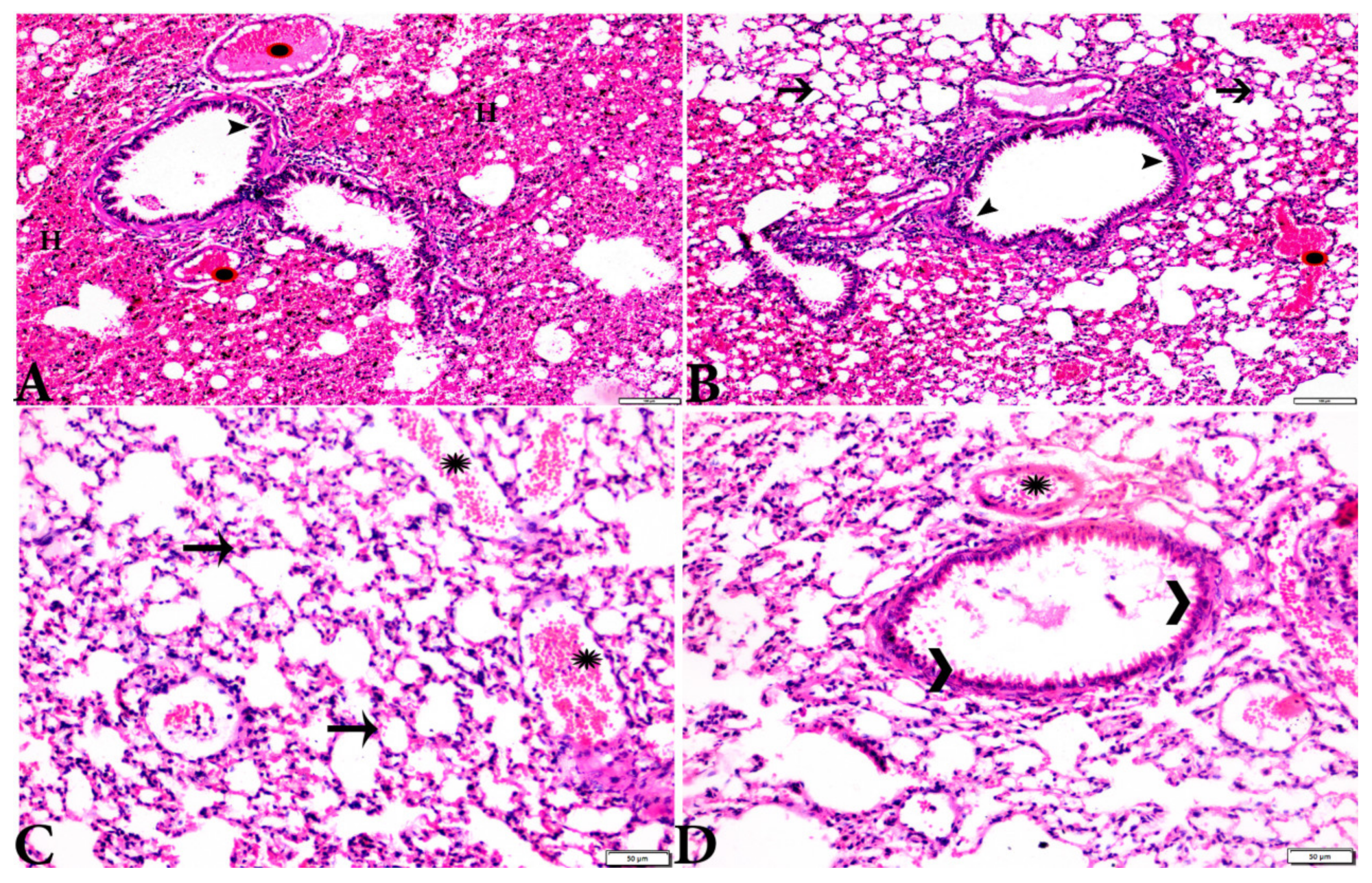 Animals 12 03069 g009 Animals 12 03069 g009