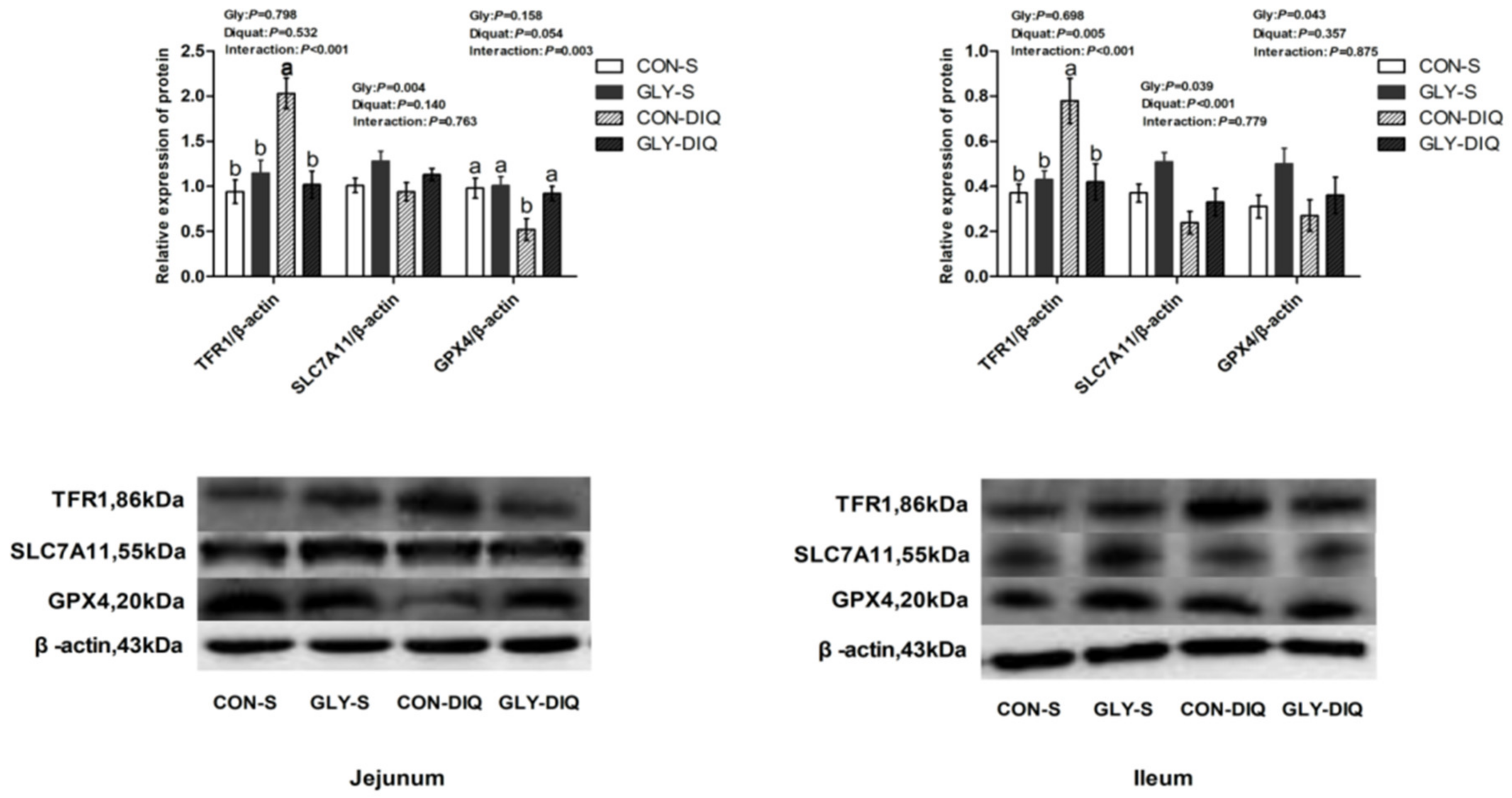 Animals 12 03071 g001