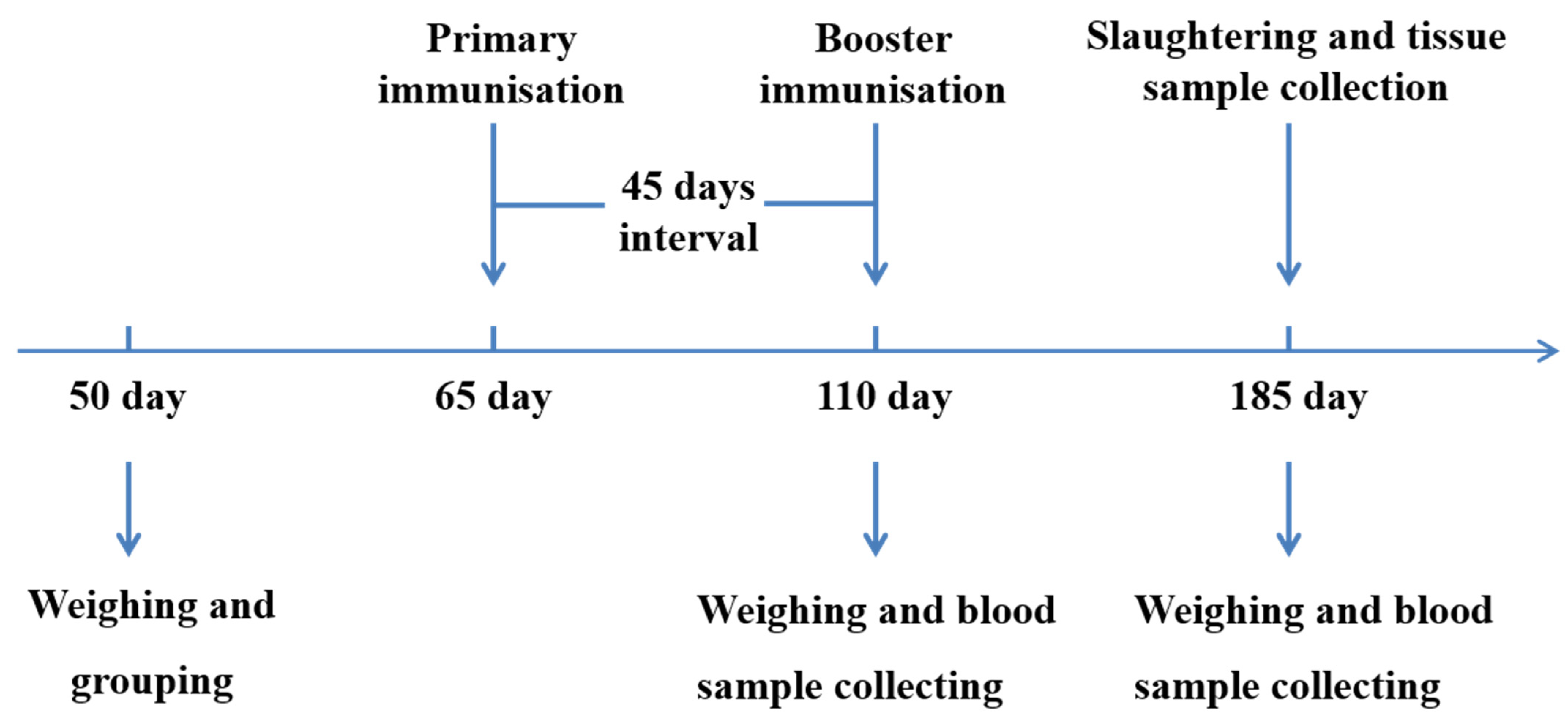 Animals 12 03072 g001