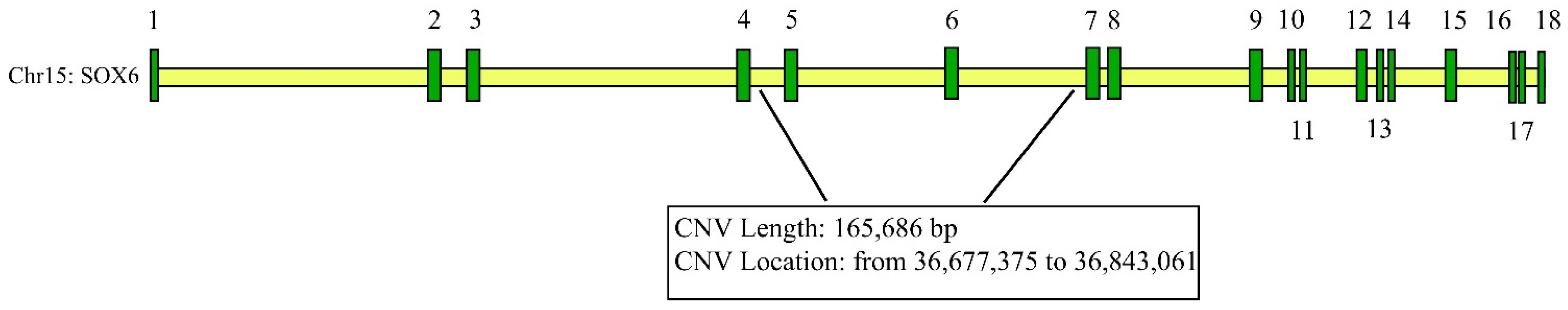 Animals 12 03074 g001 Animals 12 03074 g001