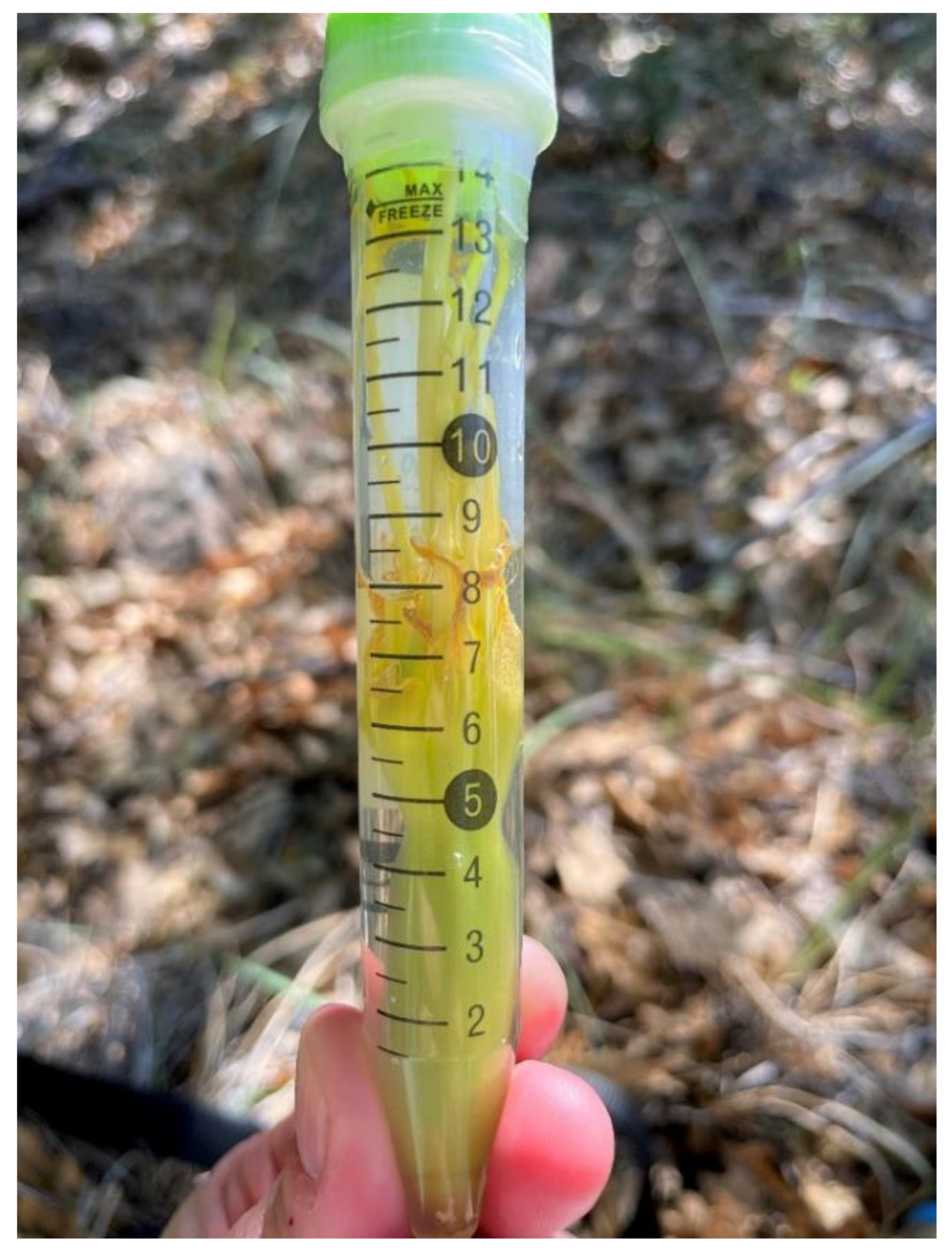 Animals 12 03075 g001