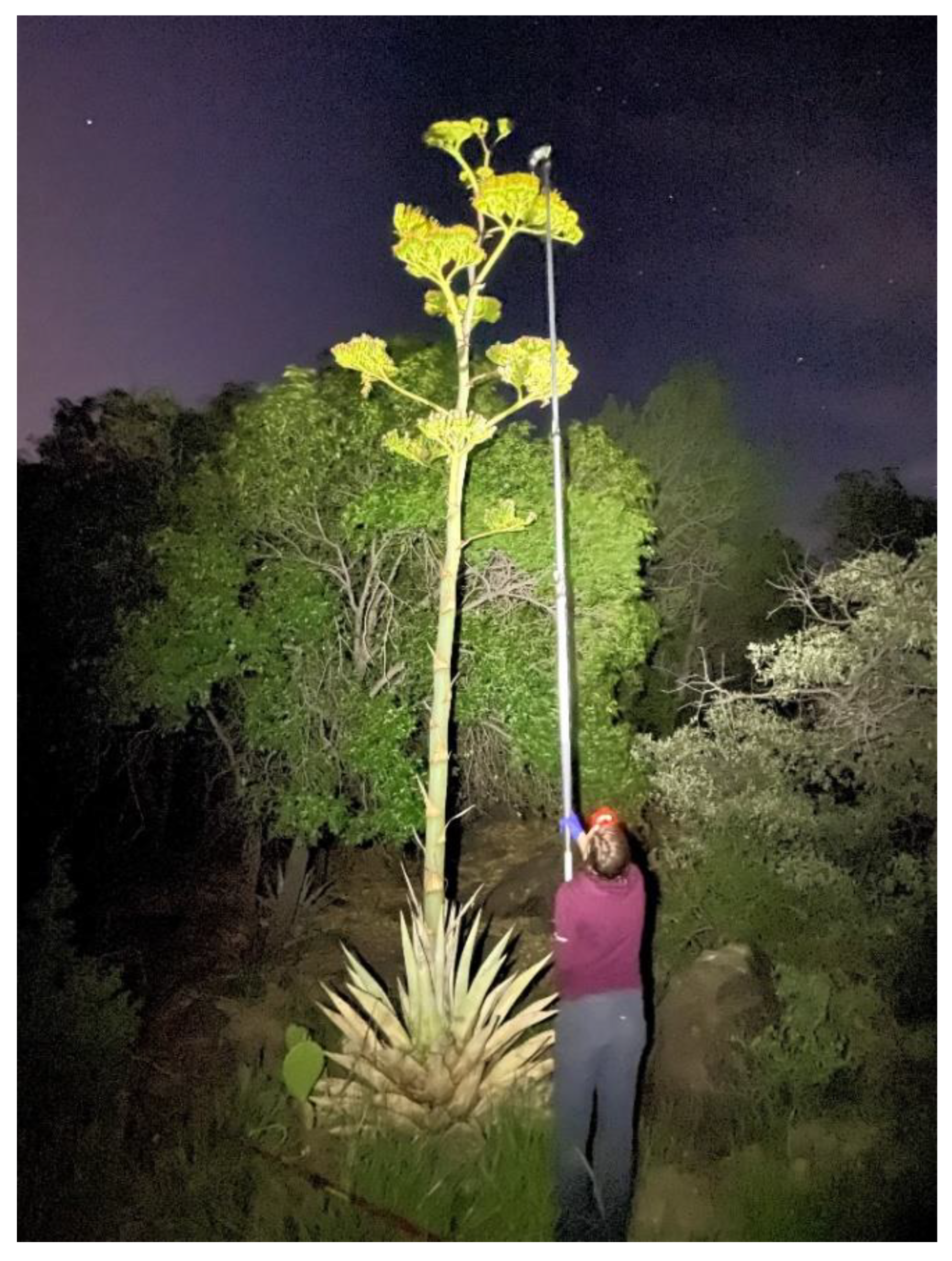 Animals 12 03075 g002