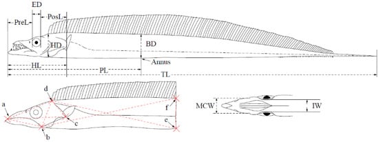 Animals 12 03078 g0a1