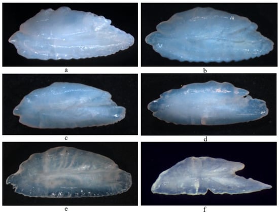 Animals 12 03078 g0a2