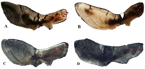 Animals 12 03078 g0a3