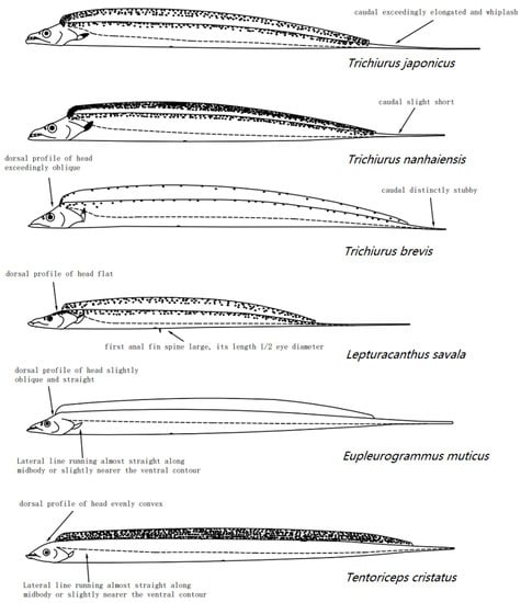 Animals 12 03078 g0a5
