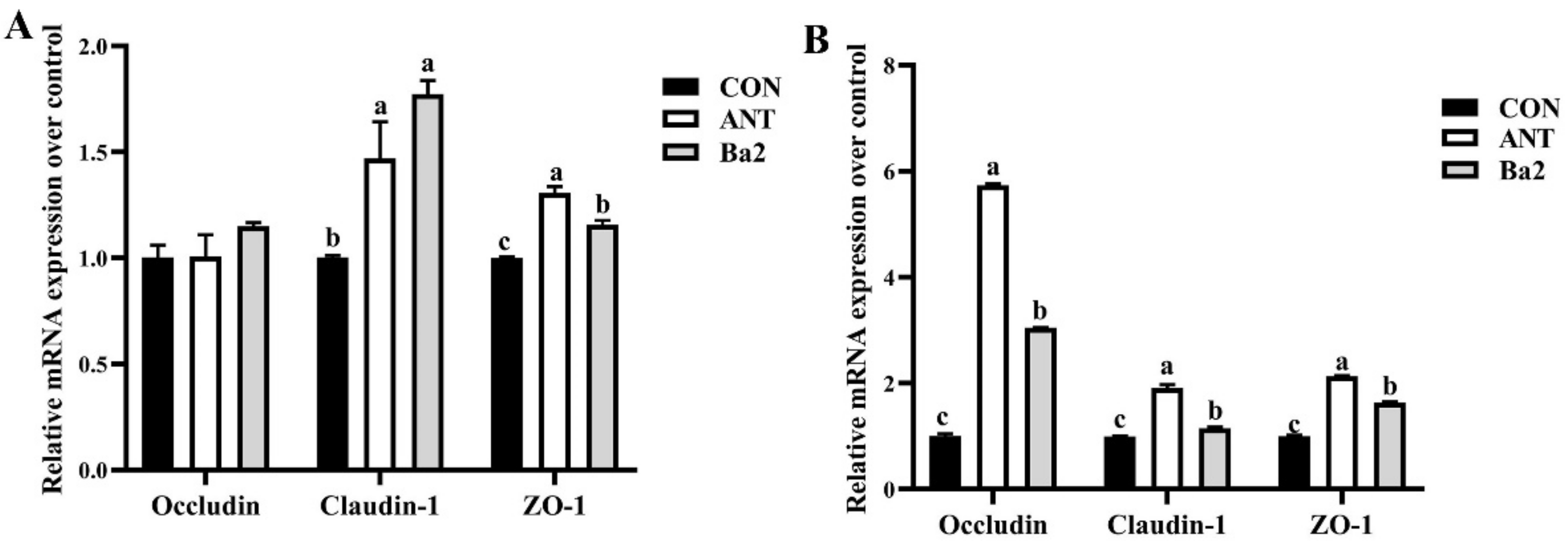 Animals 12 03085 g002