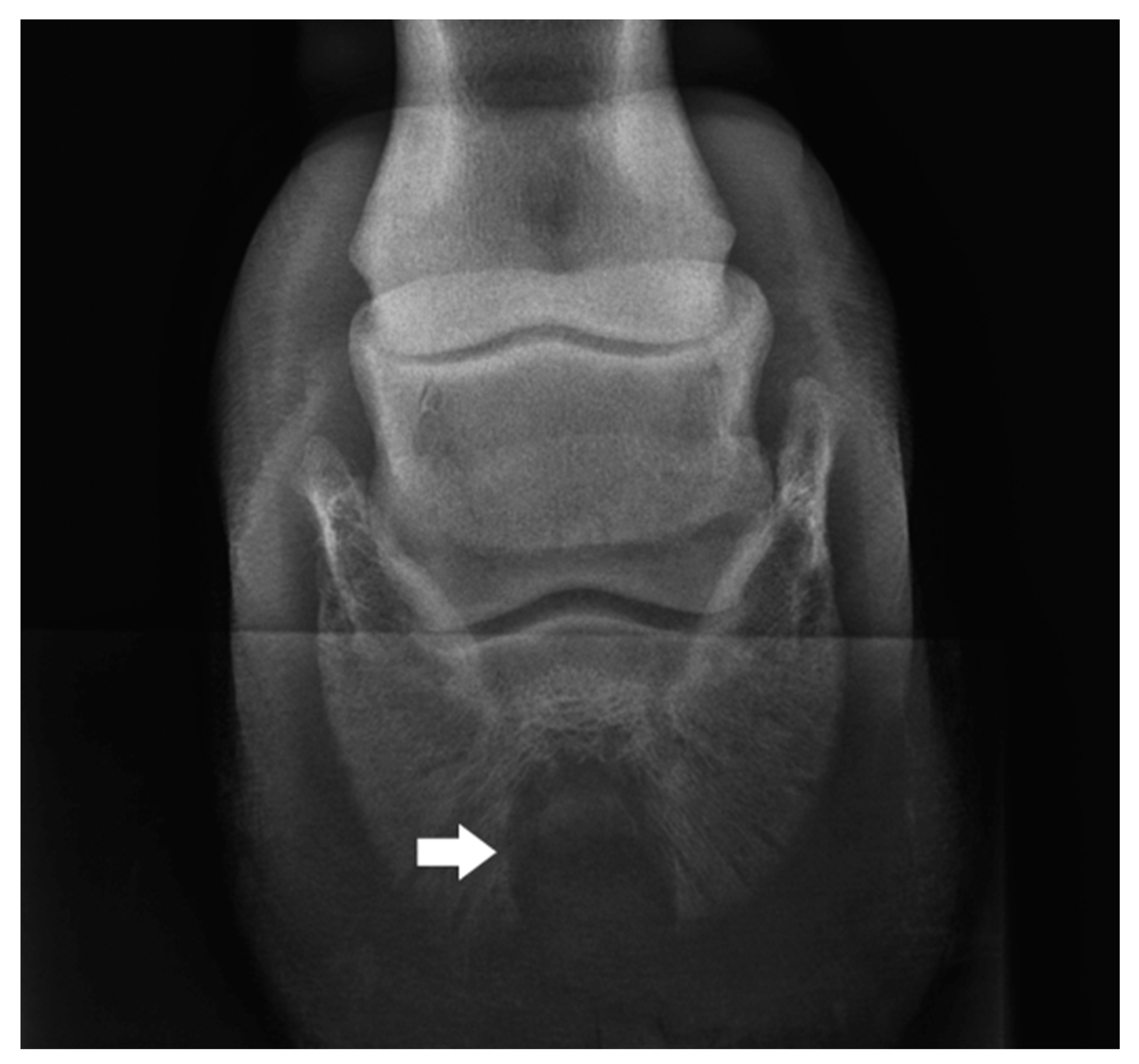 Animals 12 03090 g003