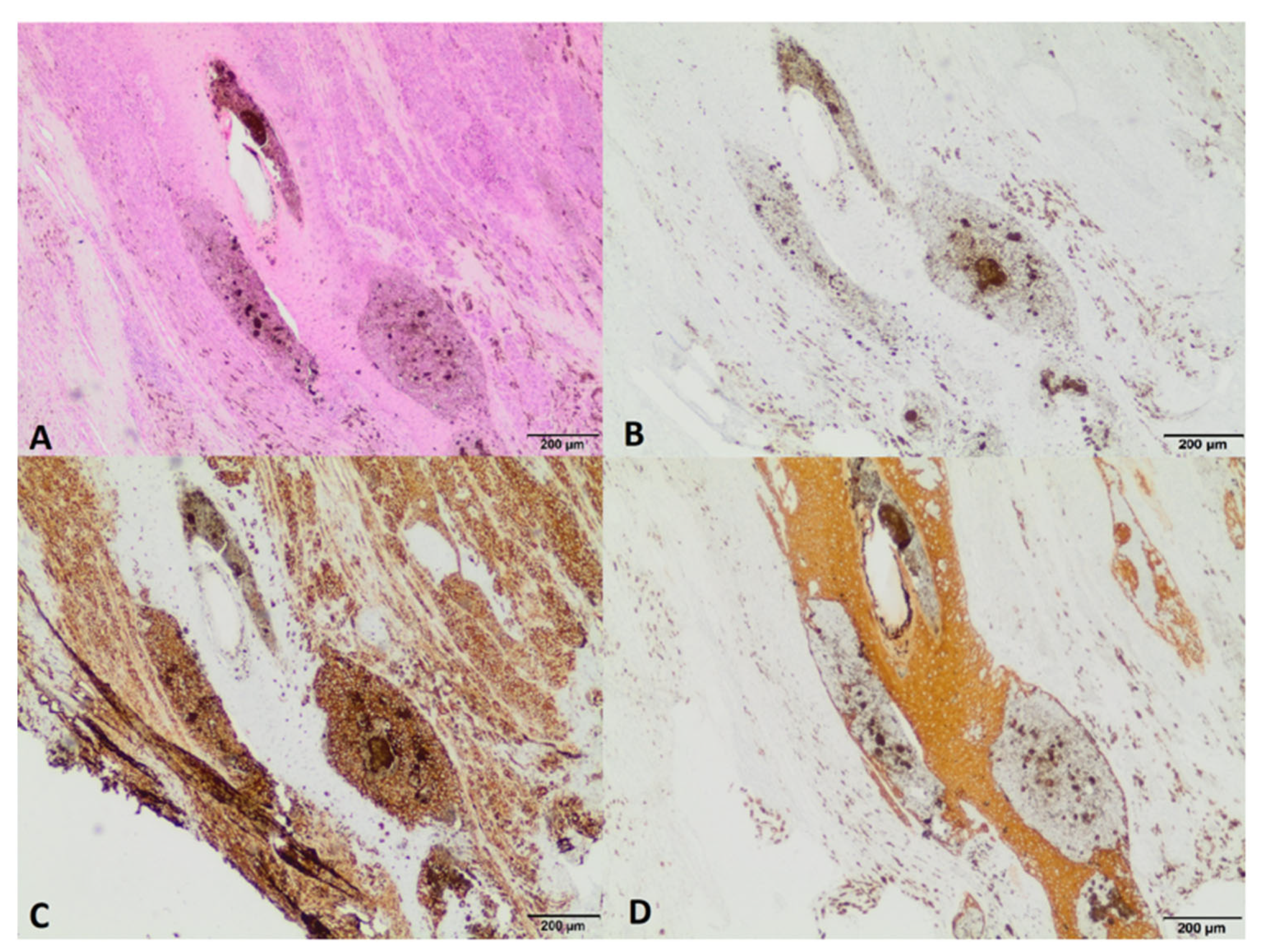 Animals 12 03090 g010