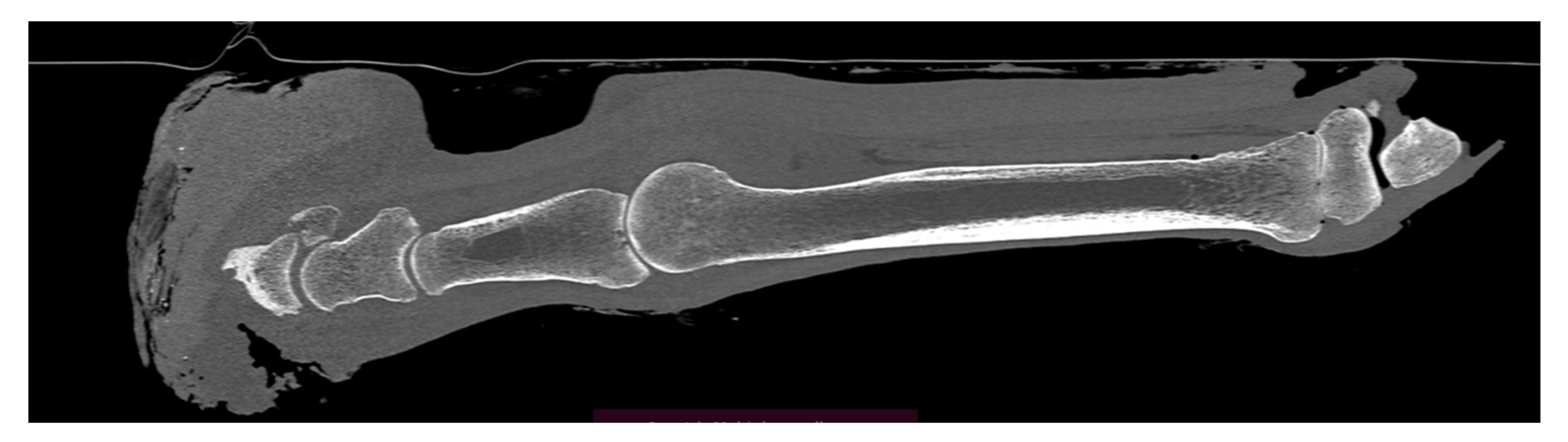 Animals 12 03090 g013