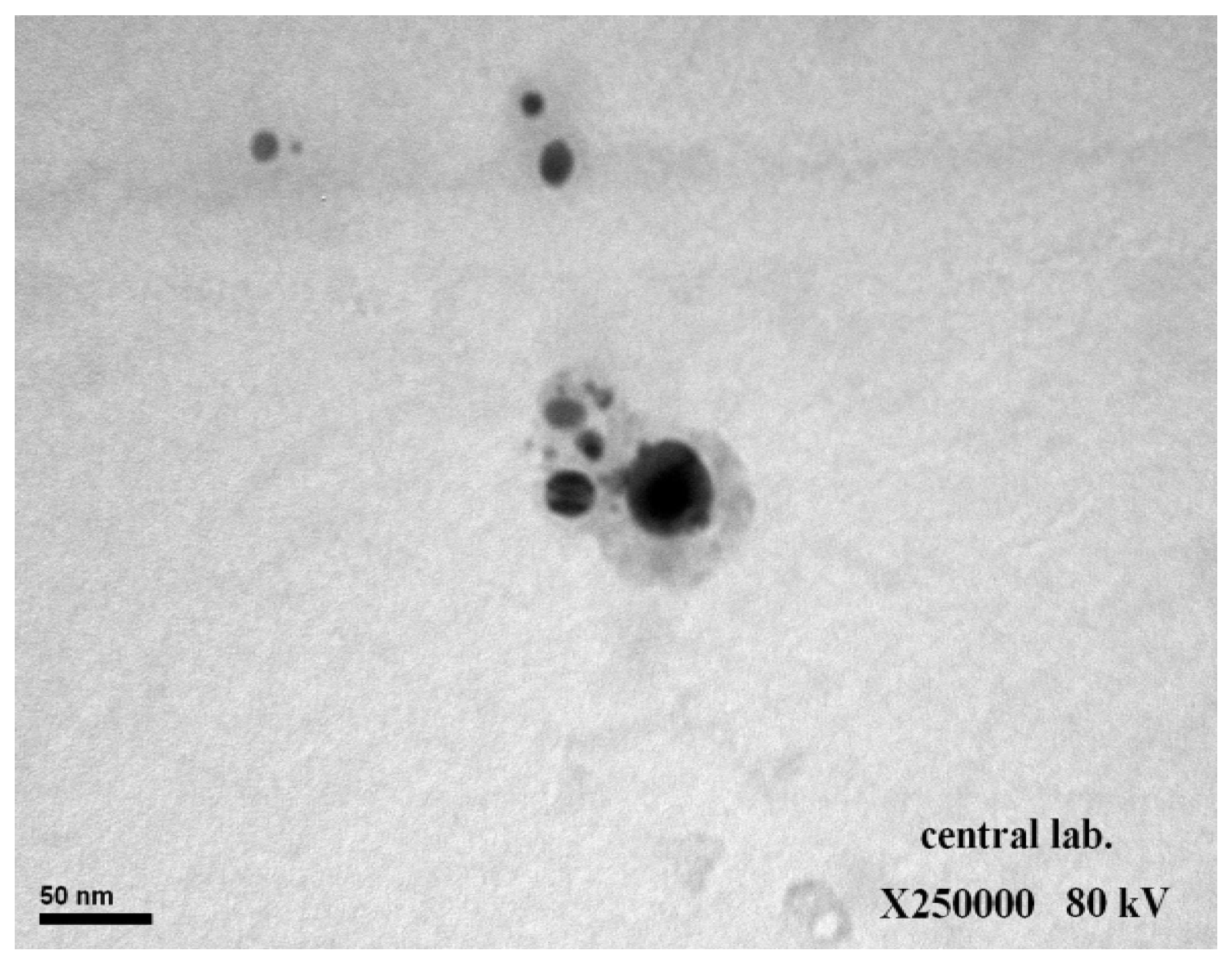 Animals 12 03098 g002