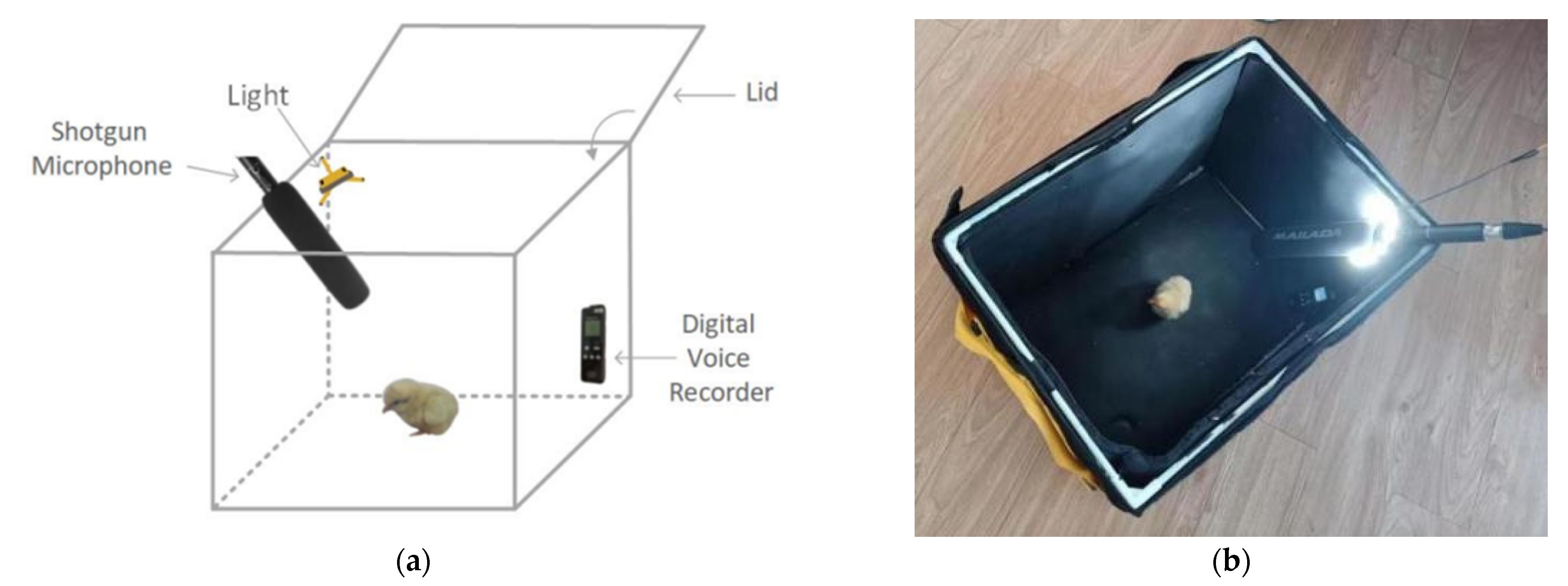 Animals 12 03106 g002