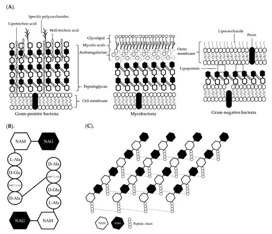Animals 12 03141 g001